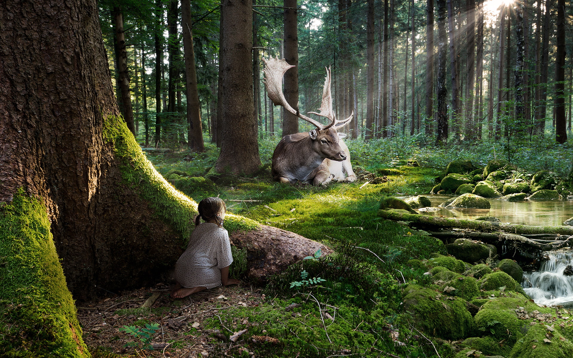 forest, fairytale, 1080P, cute, hd, HD Wallpaper