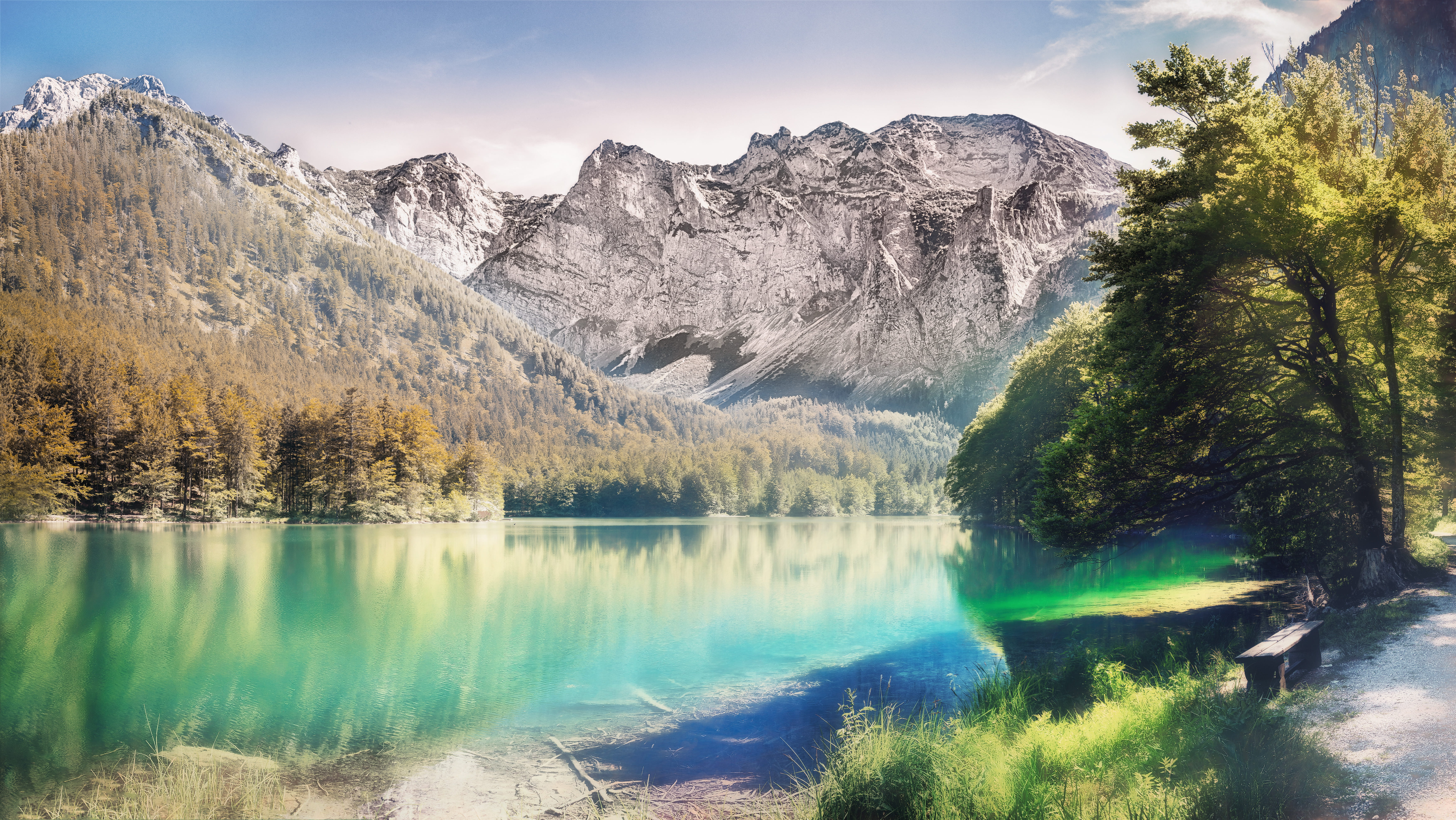 wood, coniferous tree, landscape, beautiful, scenics - nature, travel, forest, land, mountain range, colorful, body, beauty in nature, majestic, no people, HD Wallpaper