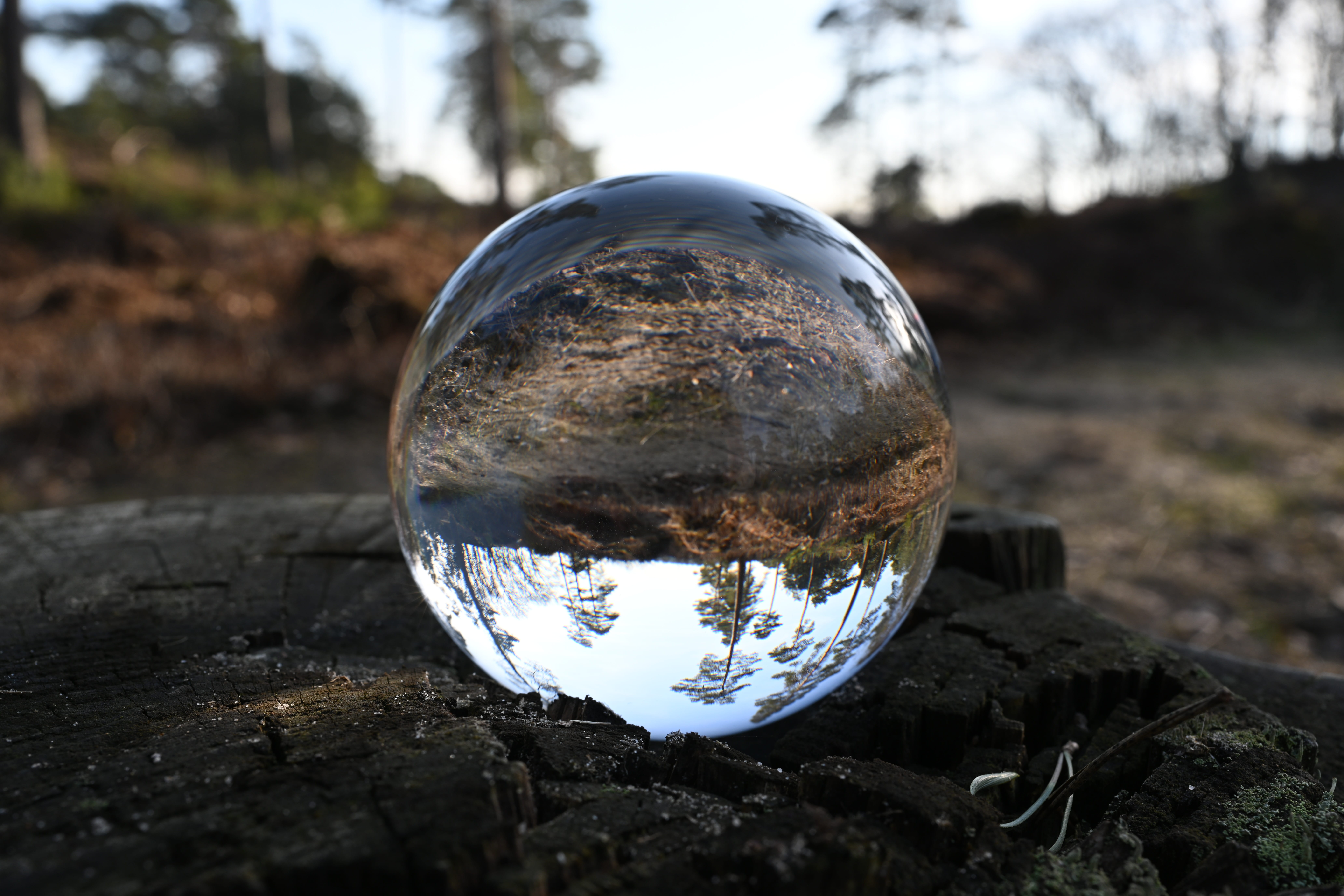 geometric shape, walk, focus on foreground, landscape, outdoors, no people, silver colored, cycling, day, sphere, upside down, relaxation, shape, reflection, HD Wallpaper