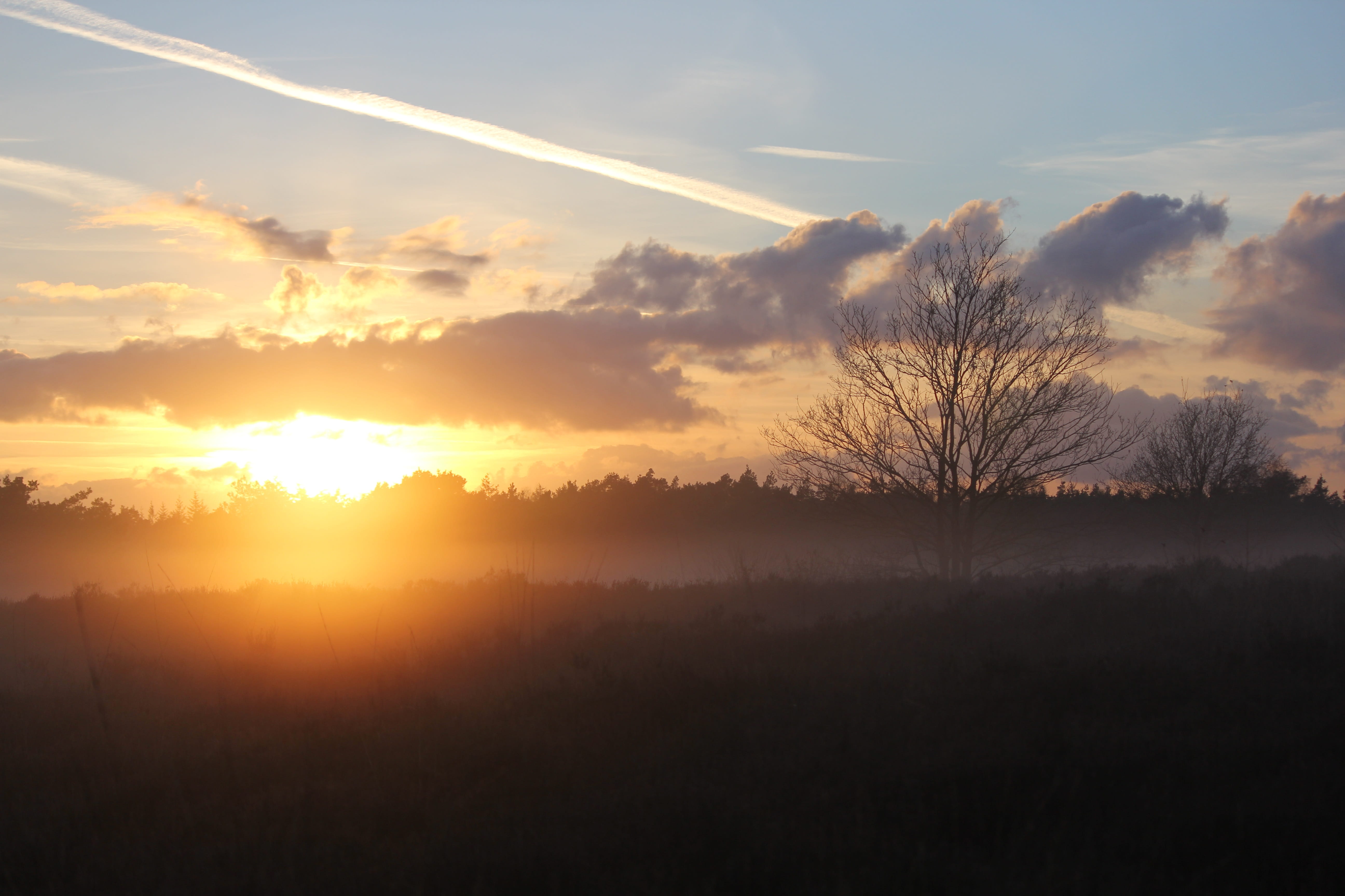 orange color, tranquil scene, nunspeet, sun, no people, scenics - nature, sky, non-urban scene, bare tree, Forest, Veluwe, Heide, winter landscape, sunlight, HD Wallpaper