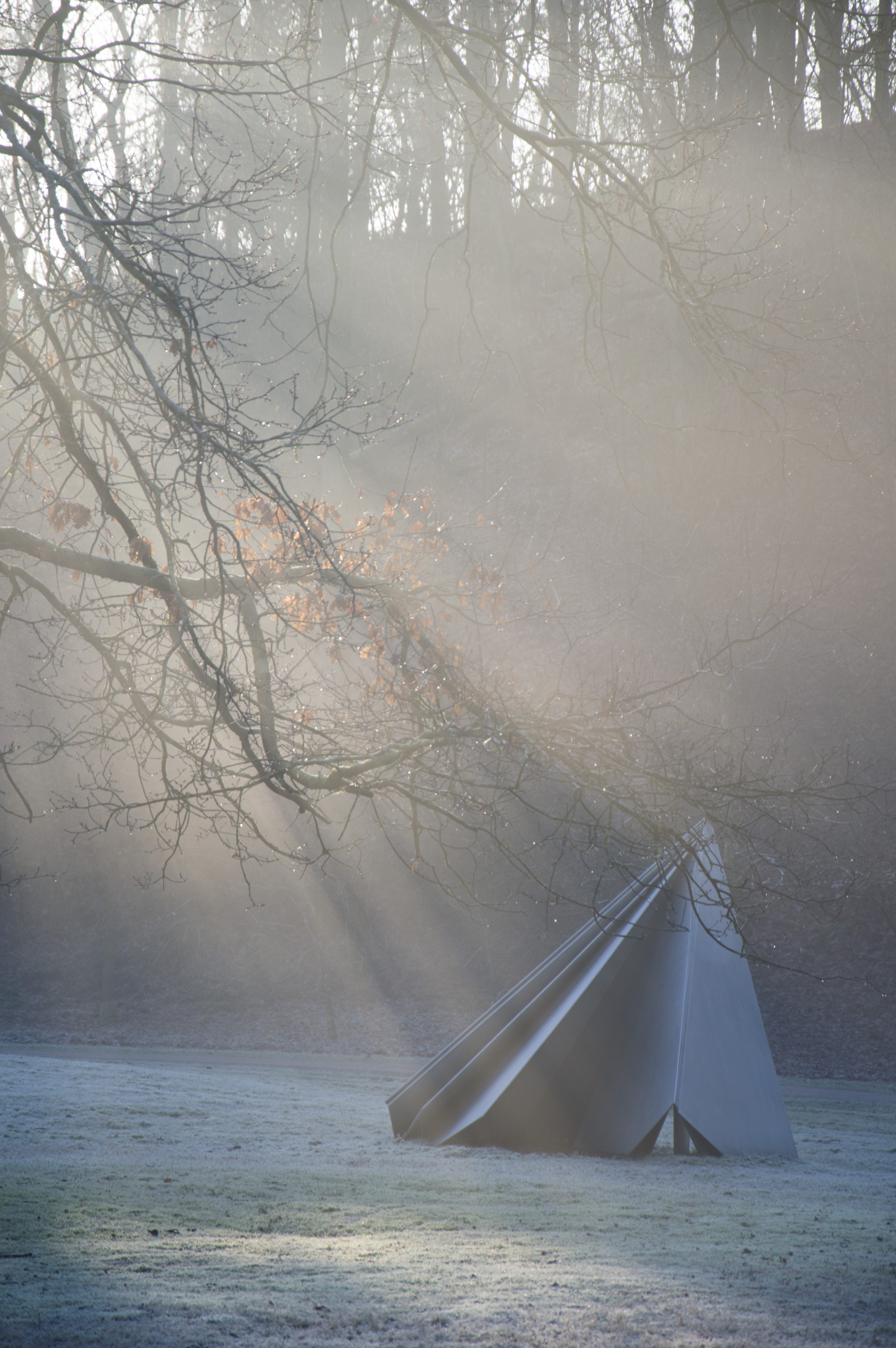 branch, cold temperature, fog, land, no people, plant, sunrays, winter, frost, water, nature, non-urban scene, otterlo, netherlands, modern art, sunbeam, Phone HD Wallpaper