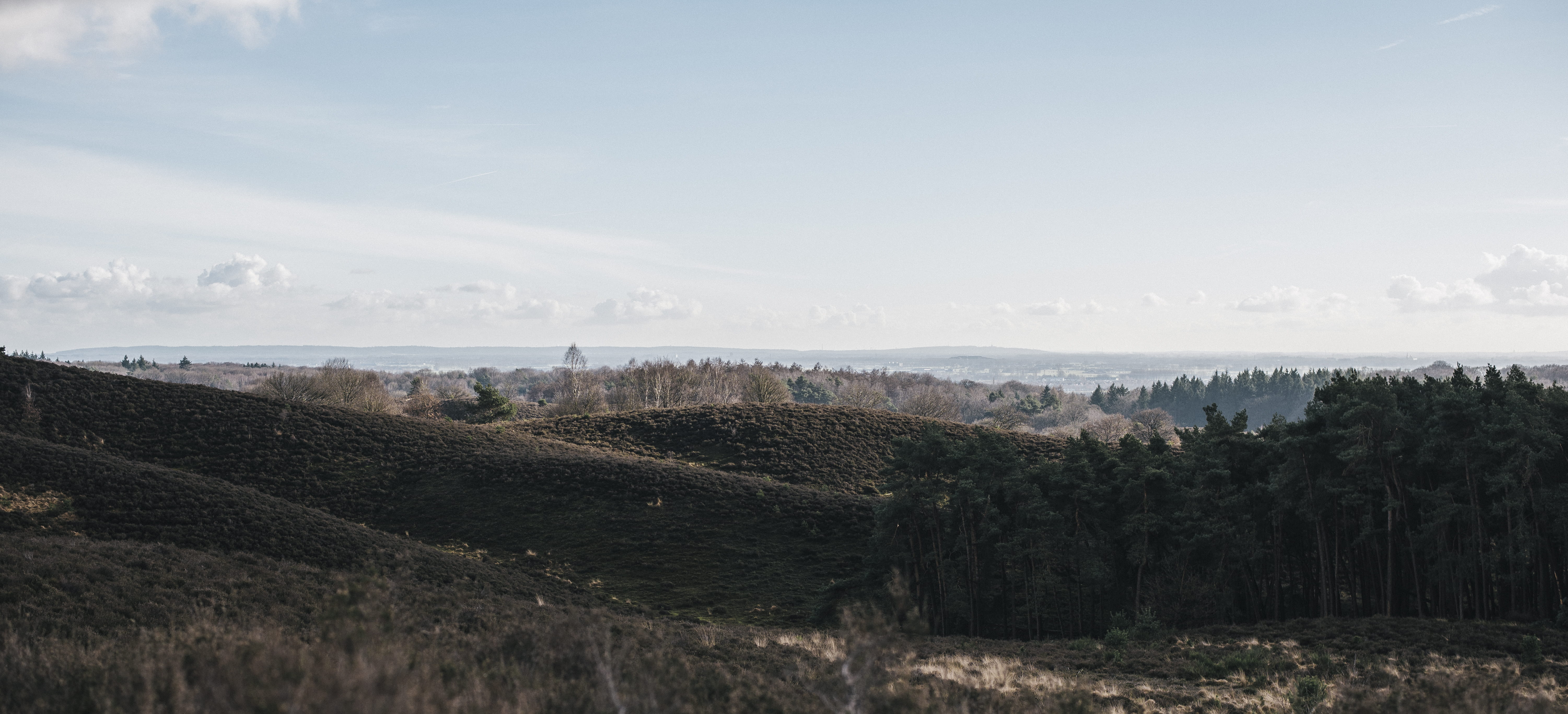 day, sky, scenics - nature, panorama, architecture, 5K, plant, environment, growth, field, nature, beauty in nature, tranquility, forest, trees, posbank, HD Wallpaper