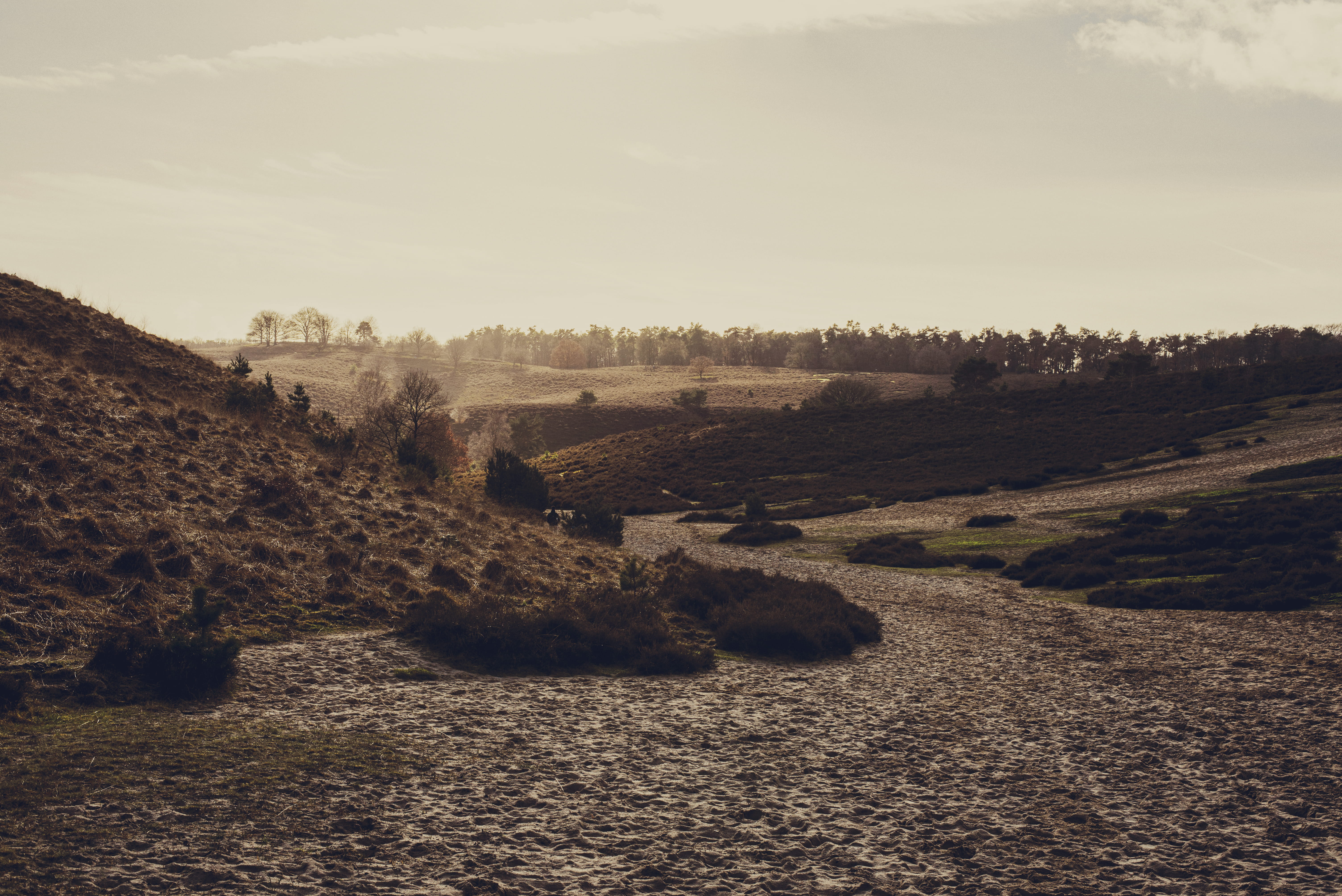 non-urban scene, walking, no people, posbank, growth, cloud - sky, field, travel, path, sunrise, sky, nature, day, sun, wander, scenics - nature, tranquility, HD Wallpaper