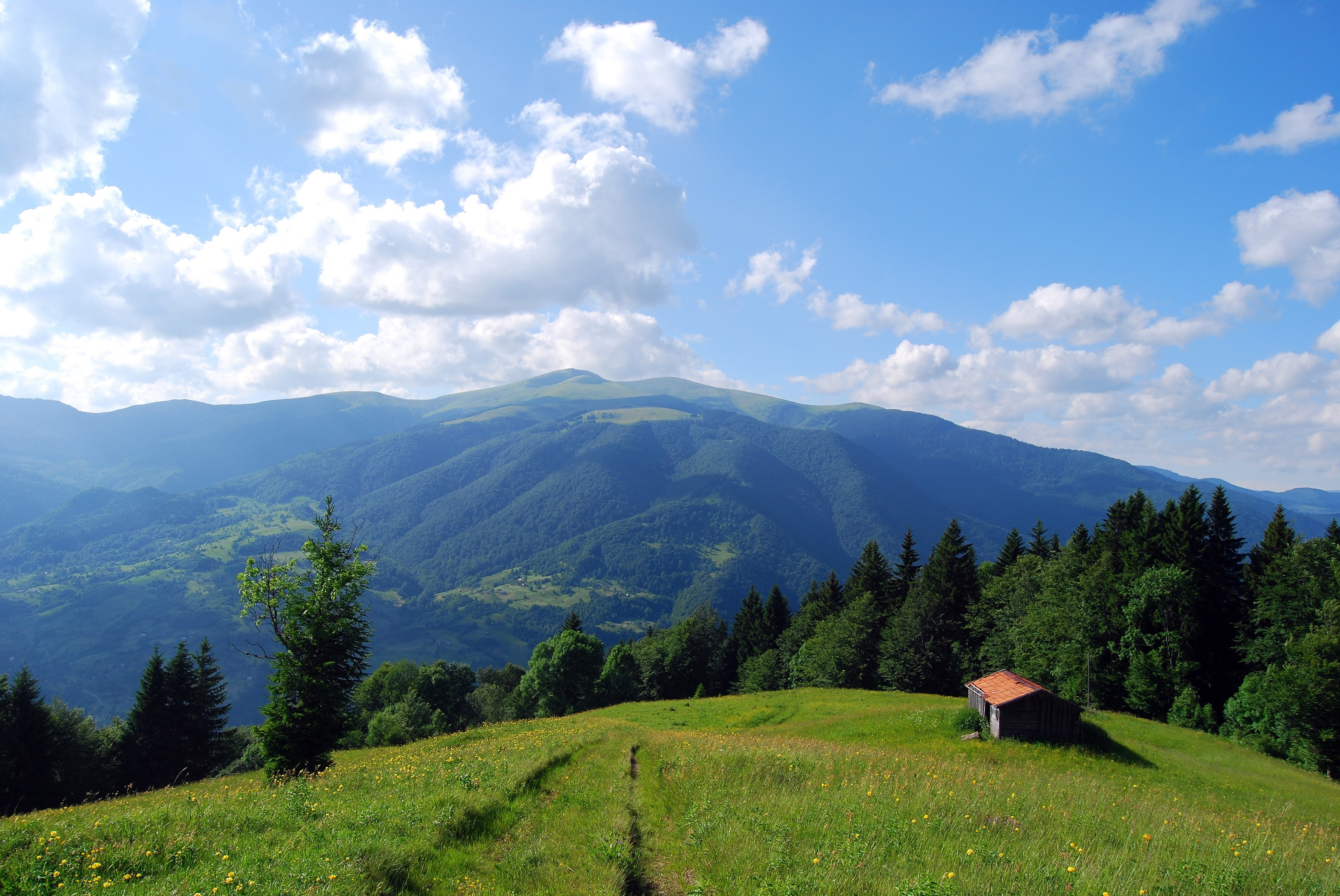 landscape, carpathians, house, field, 4K, ukraine, mountains, HD Wallpaper