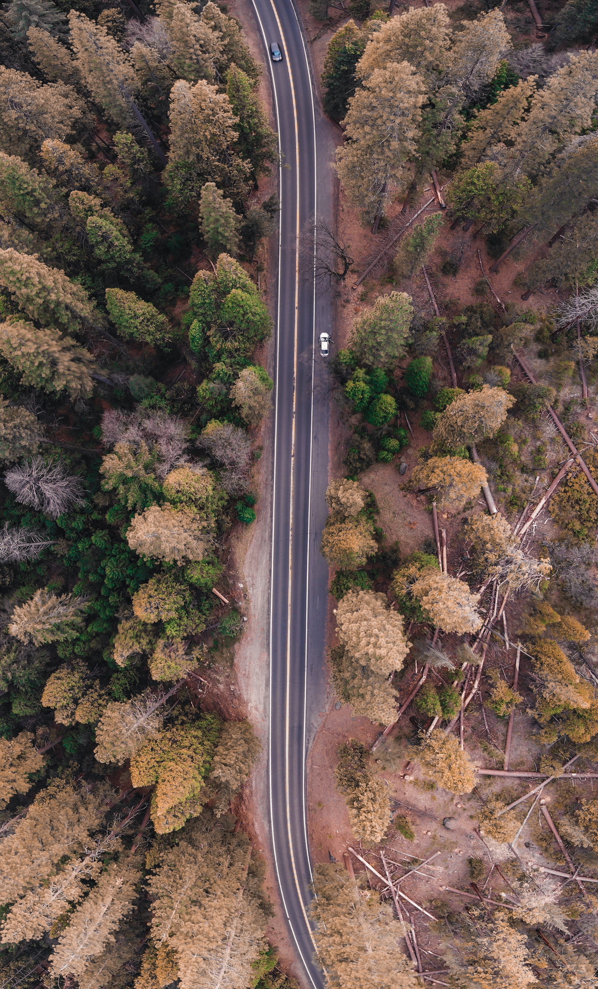 eye, photo, landscape, woodland, yosemite valley, nature, rail transportation, bird, connection, high angle view, travel, road, mode of transportation, Phone HD Wallpaper