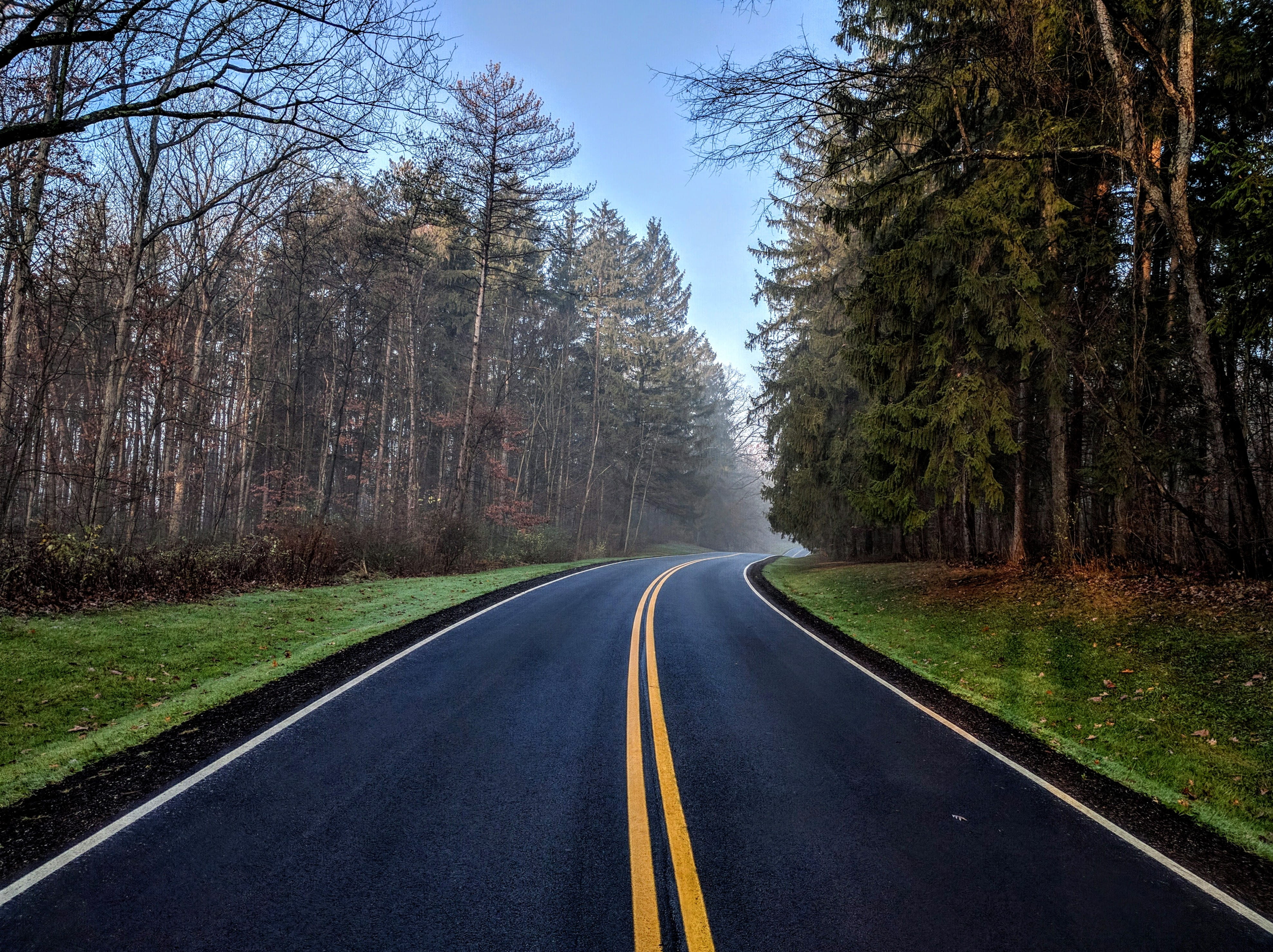 asphalt, nature, tranquil scene, growth, highway, double yellow line, grass, tranquility, land, vegetation, the way forward, day, marking, forest, outdoors, HD Wallpaper