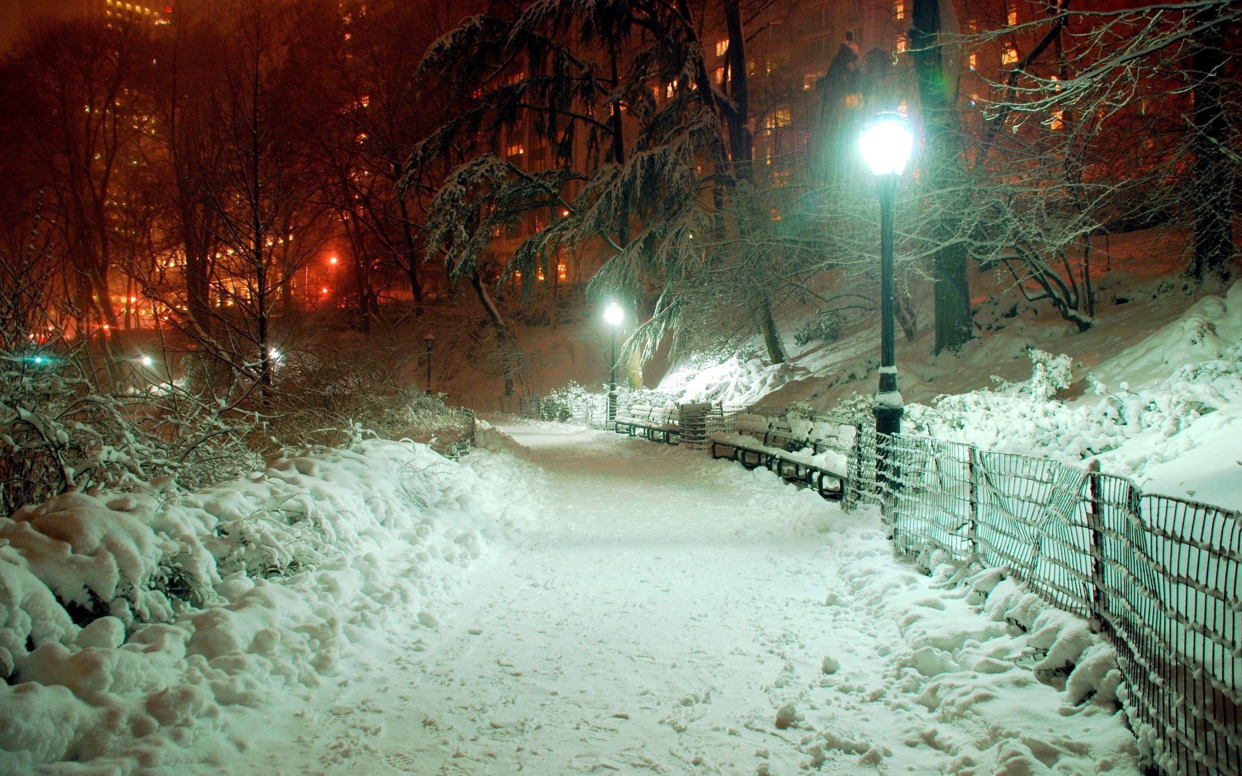 snowdrifts, 2K, winter, lamp, january, park, light, HD Wallpaper