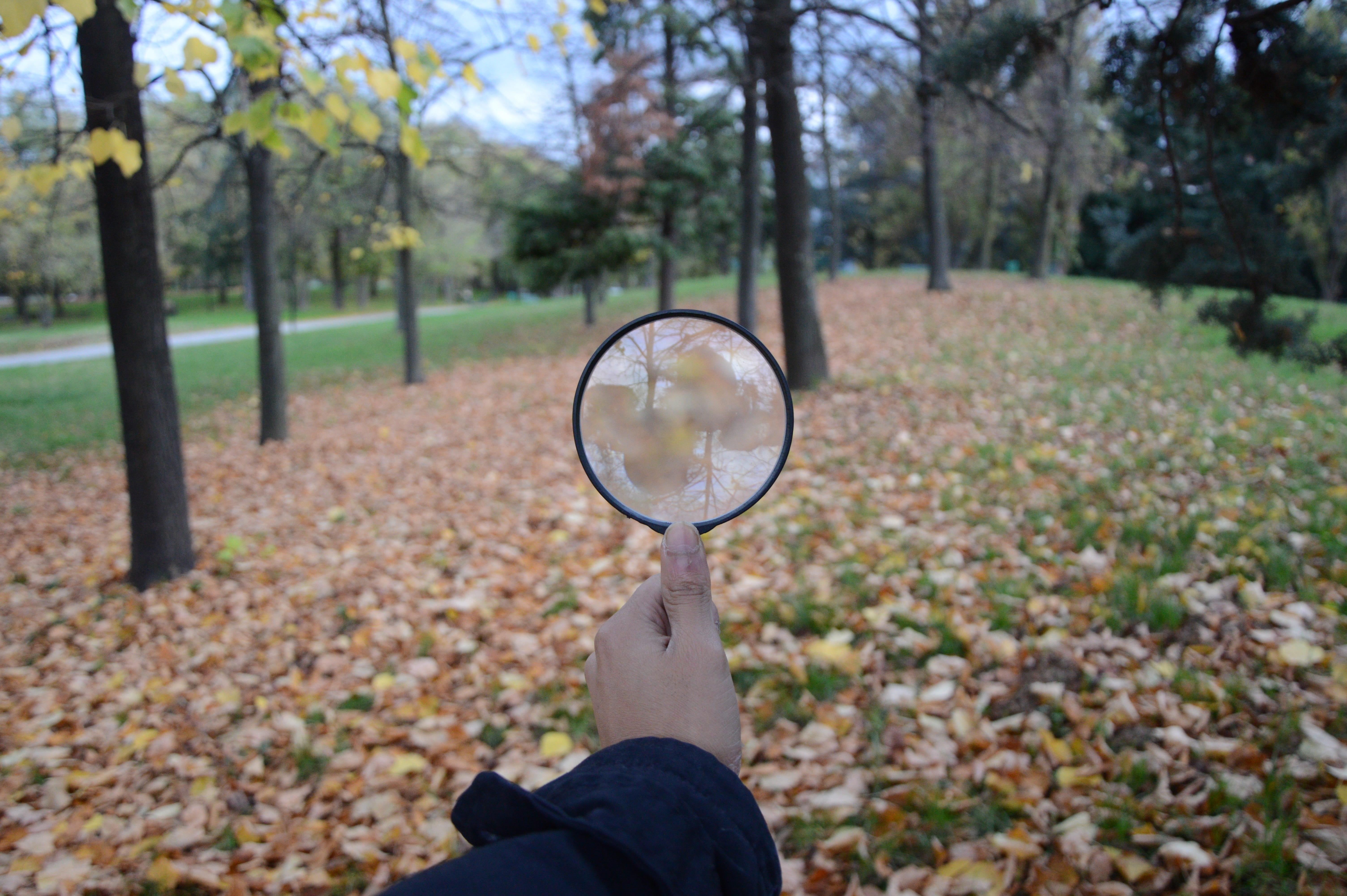 fantasia, yellow, magnifying glass, colors, drawing, lifestyles, game, real people, joy, adventure, stretch, change, human body part, green, sadness, dried leaves, HD Wallpaper