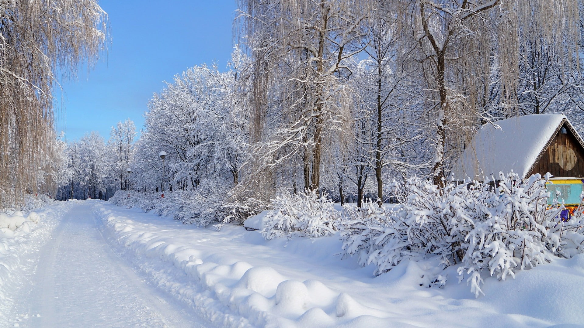 russia, 1080P, tree, branch, landscape, winter, snow, road, sky, HD Wallpaper