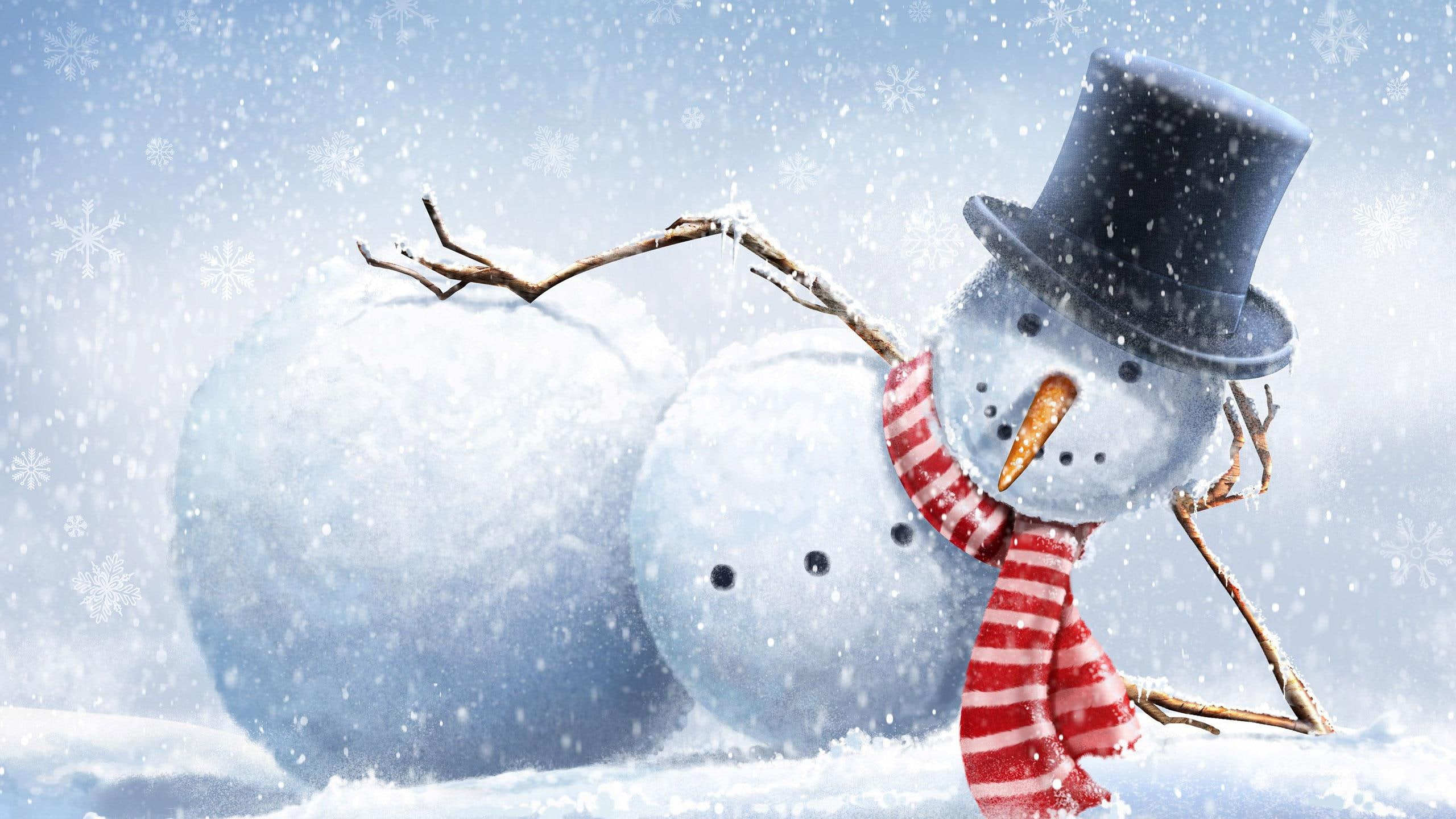 funny, snowflake, 2K, snowman, chilling, 2560x1440, winter, graphics, snow, HD Wallpaper