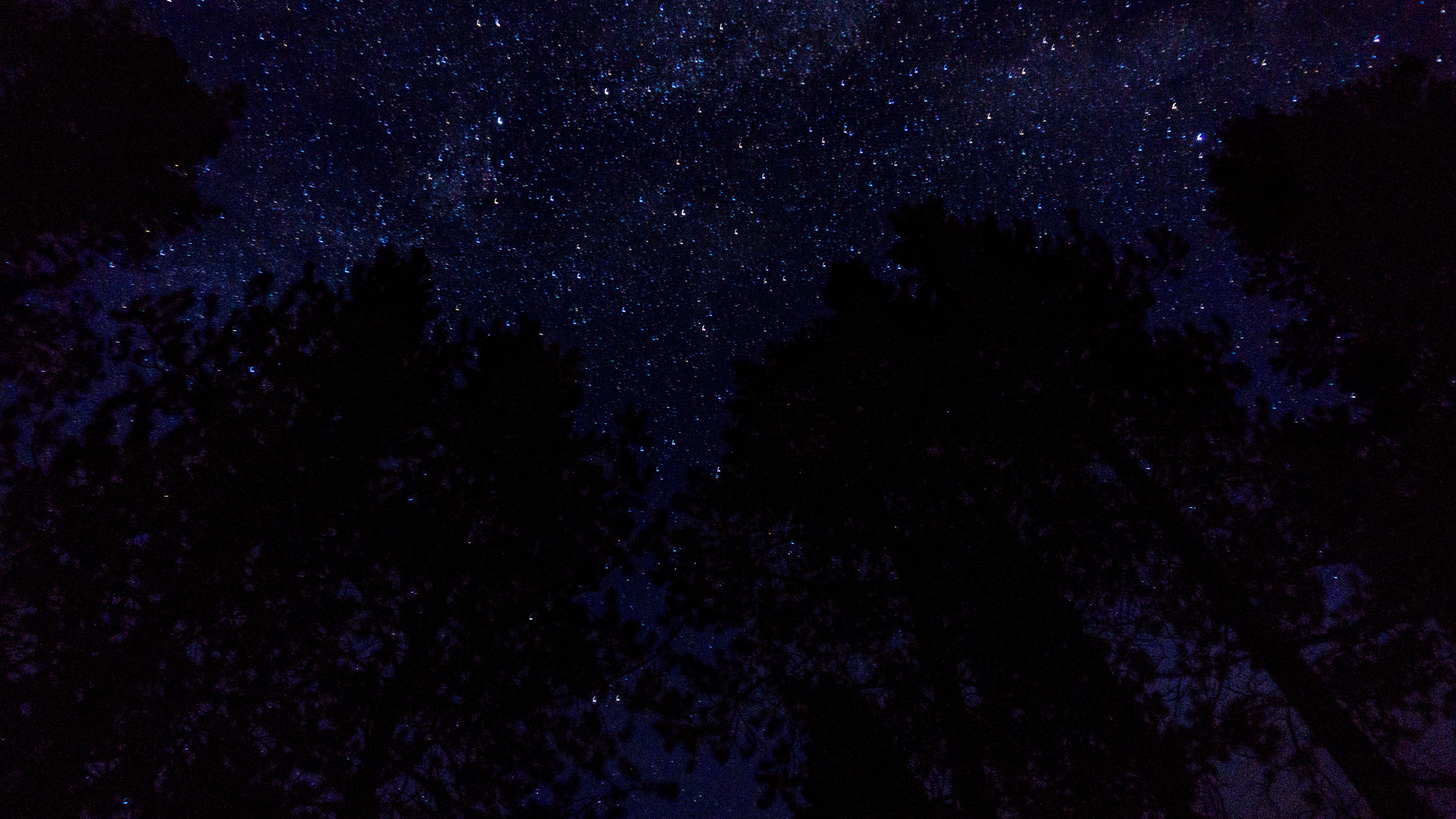 land, scenics - nature, milky way, vegetation, tranquility, astronomy, mystery, beauty in nature, outer space, no people, silhouette, plant, nebula, star field, HD Wallpaper