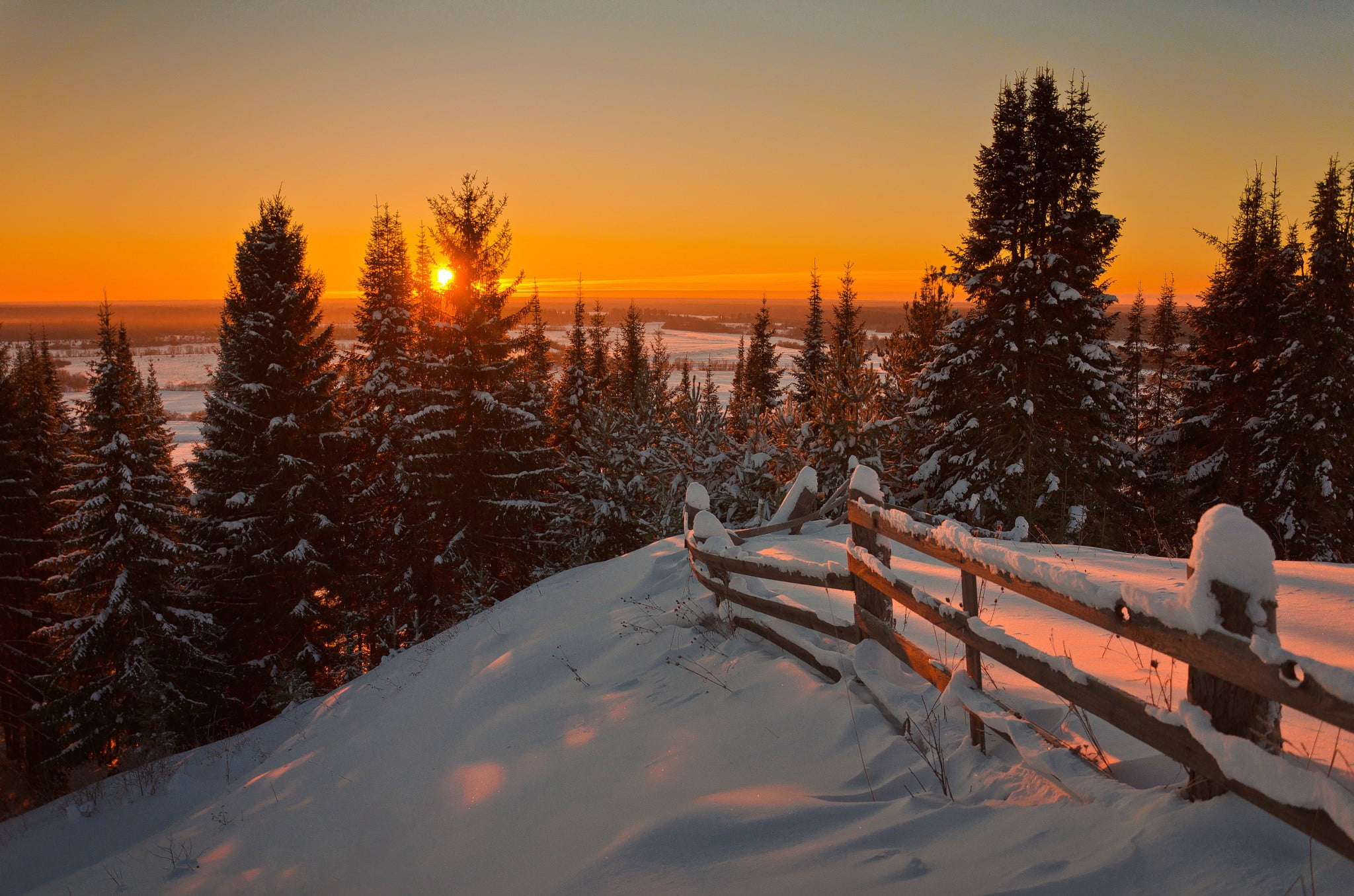 snow, non-urban scene, pine tree, tree, wooden, no people, frozen, sunset, scenics - nature, field, cold temperature, tranquility, tranquil scene, nature, HD Wallpaper