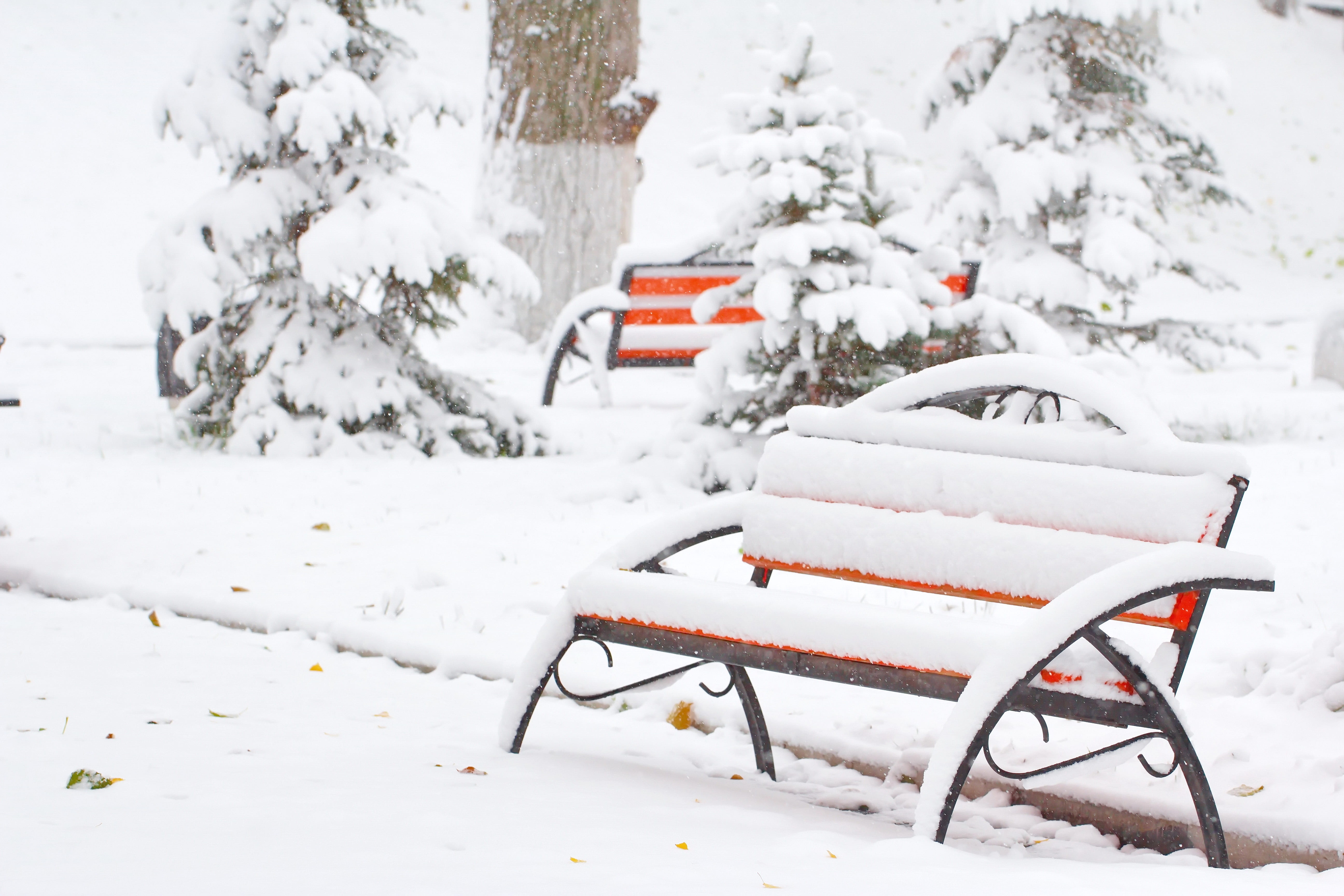 cold temperature, snowflake, outdoors, nostalgia, year, scene, blizzard, no people, snow, alone, ice, 5K, wooden, december, outdoor, park bench, flake, HD Wallpaper