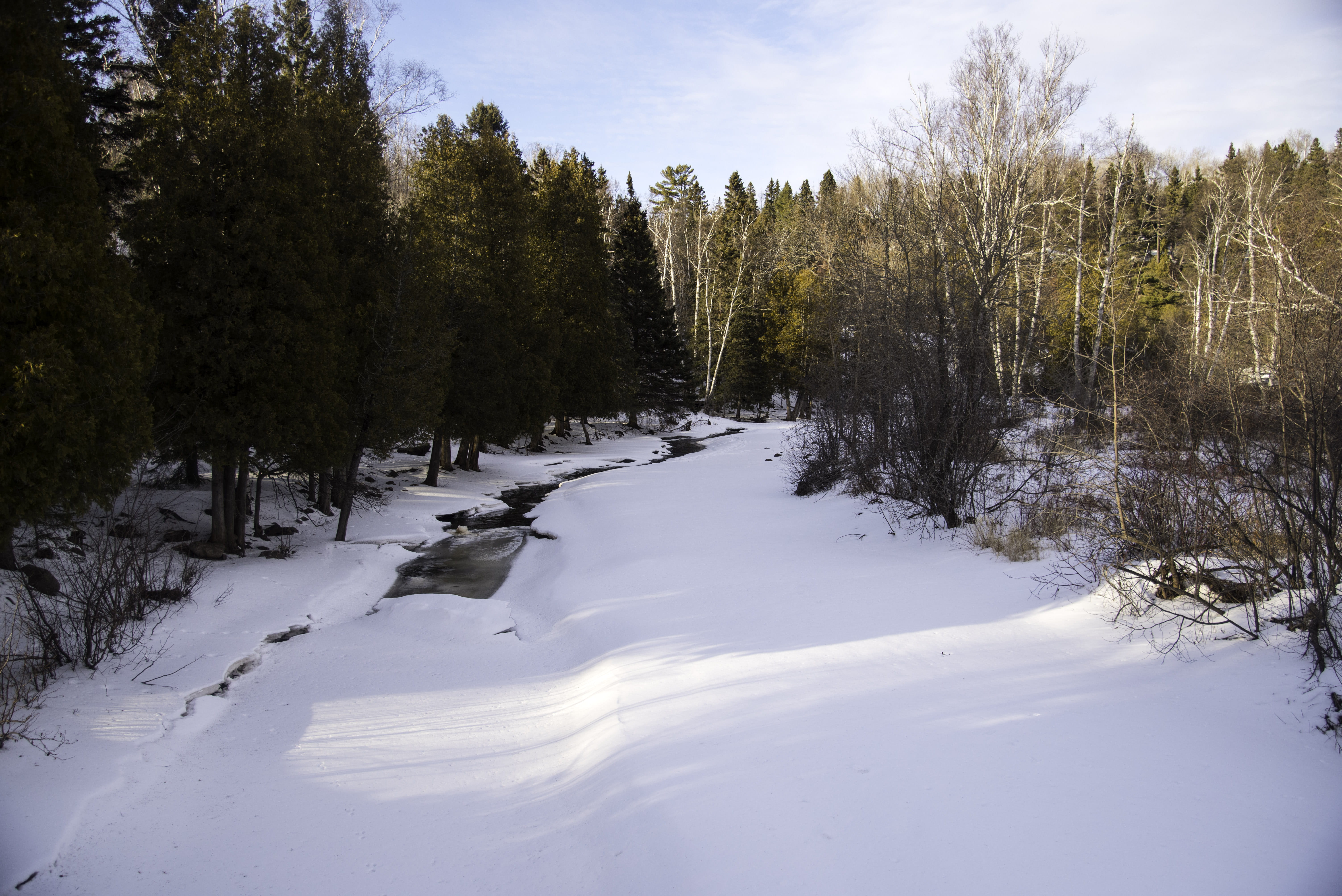 no People, forest, winter, scenics, Minnesota, ice, cold - Temperature, field, tranquil scene, Gooseberry River, woodland, land, plant, sky, cold temperature, HD Wallpaper