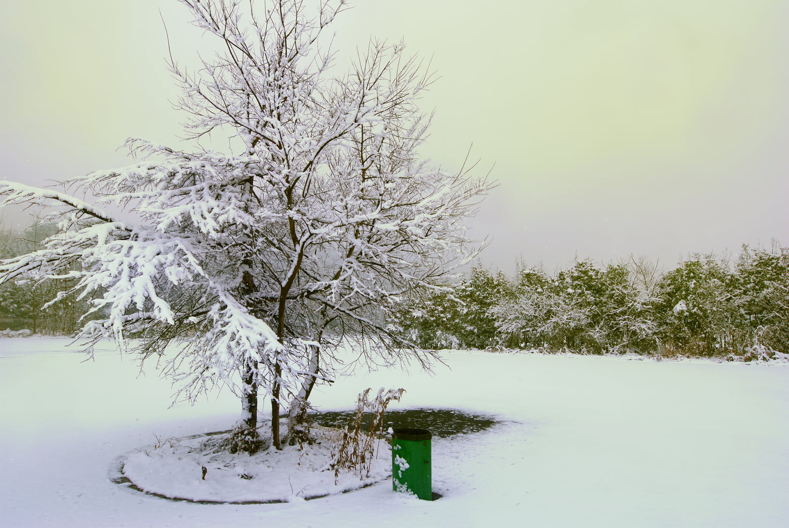 park, bare, gear, me  my, snowing, nature, outdoors, photography, snow, sheshan, landscape photography, 佘山, forest, ice, winter, weather, cold - Temperature, HD Wallpaper
