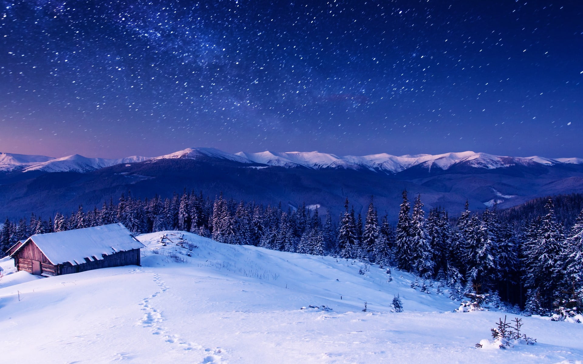stars, space, coniferous tree, near, sky, astronomy, scenics - nature, pine tree, tranquility, mountain range, mountain, beauty in nature, nature, winter, HD Wallpaper