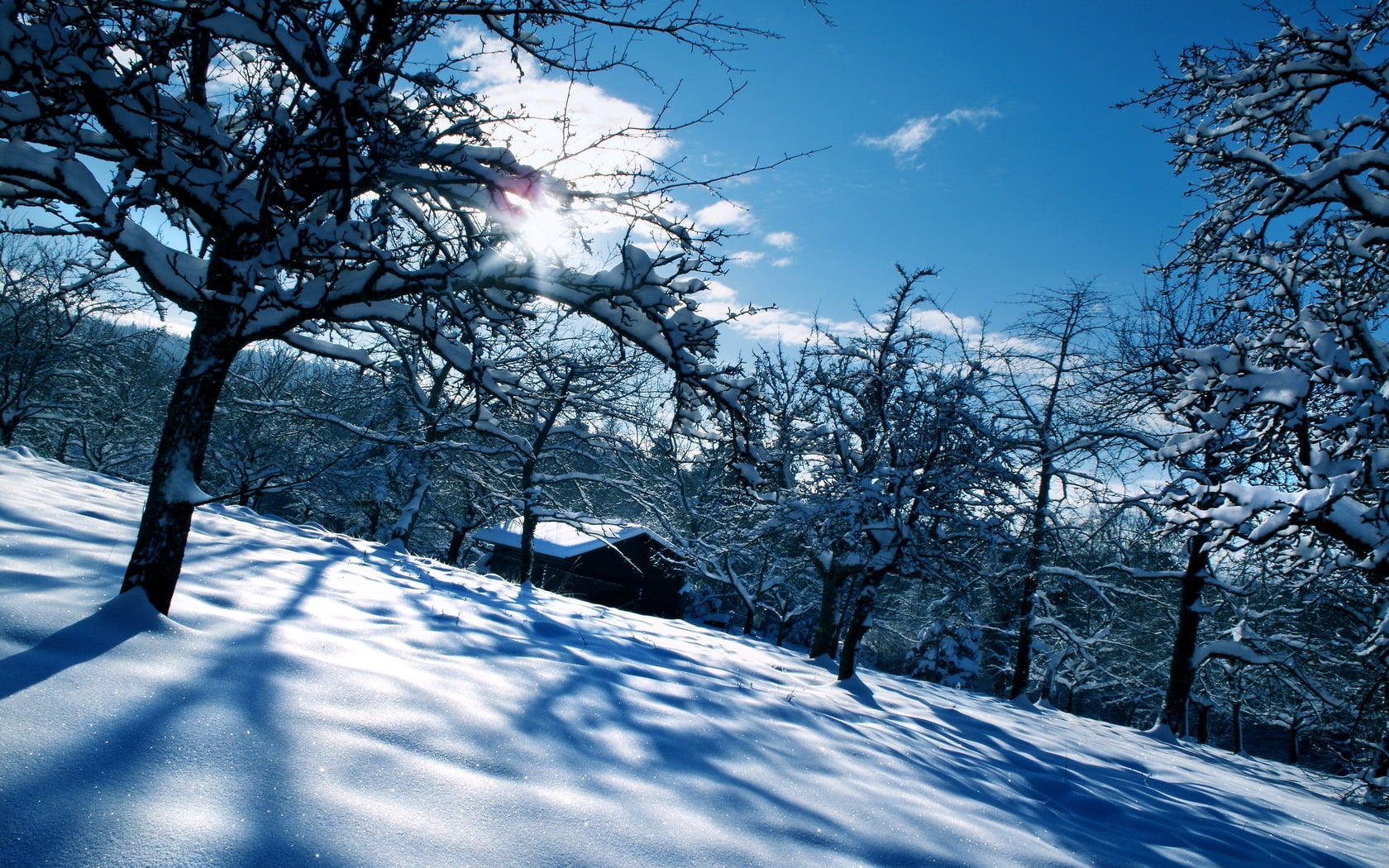 tranquility, street, frost, january, tranquil Scene, cold temperature, landscape, house, day, weather, frozen, no People, branch, rural Scene, woodland, HD Wallpaper