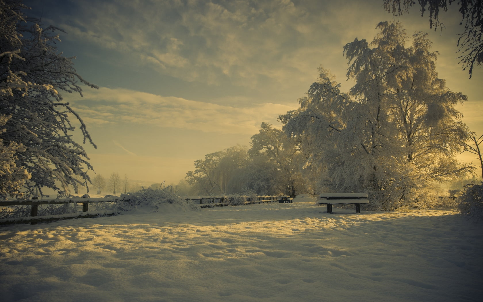 shadows, rural Scene, dusk, tranquil Scene, ice, sun, winter, day, no People, fog, sunlight, sunrise - Dawn, scenics, sunset, frost, park - Man Made Space, HD Wallpaper