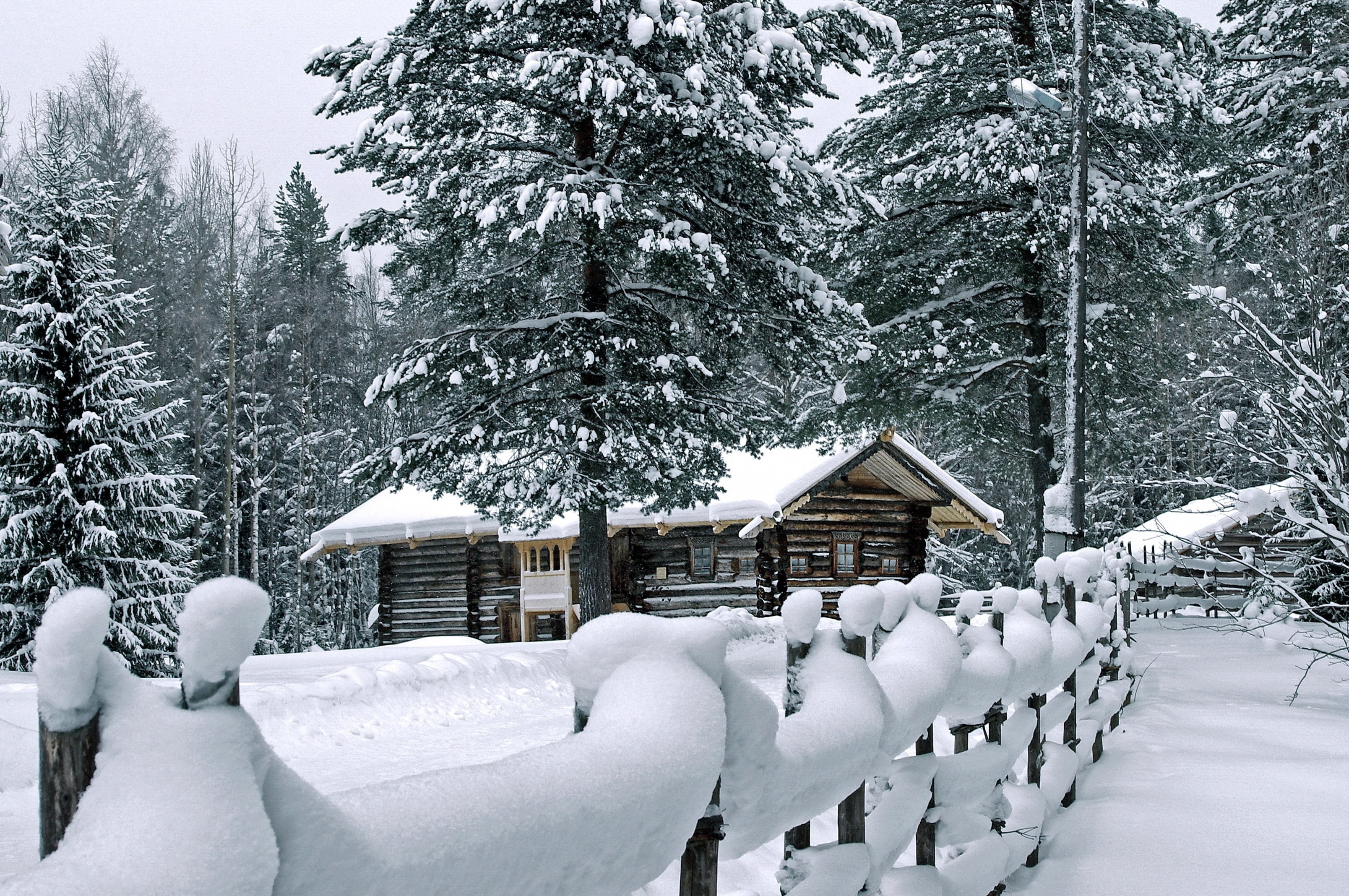 Fence, covering, Attire, scenics - nature, tree, plant, snowcapped mountain, nature, blizzard, House, cold temperature, beauty in nature, white color, Log hut, HD Wallpaper