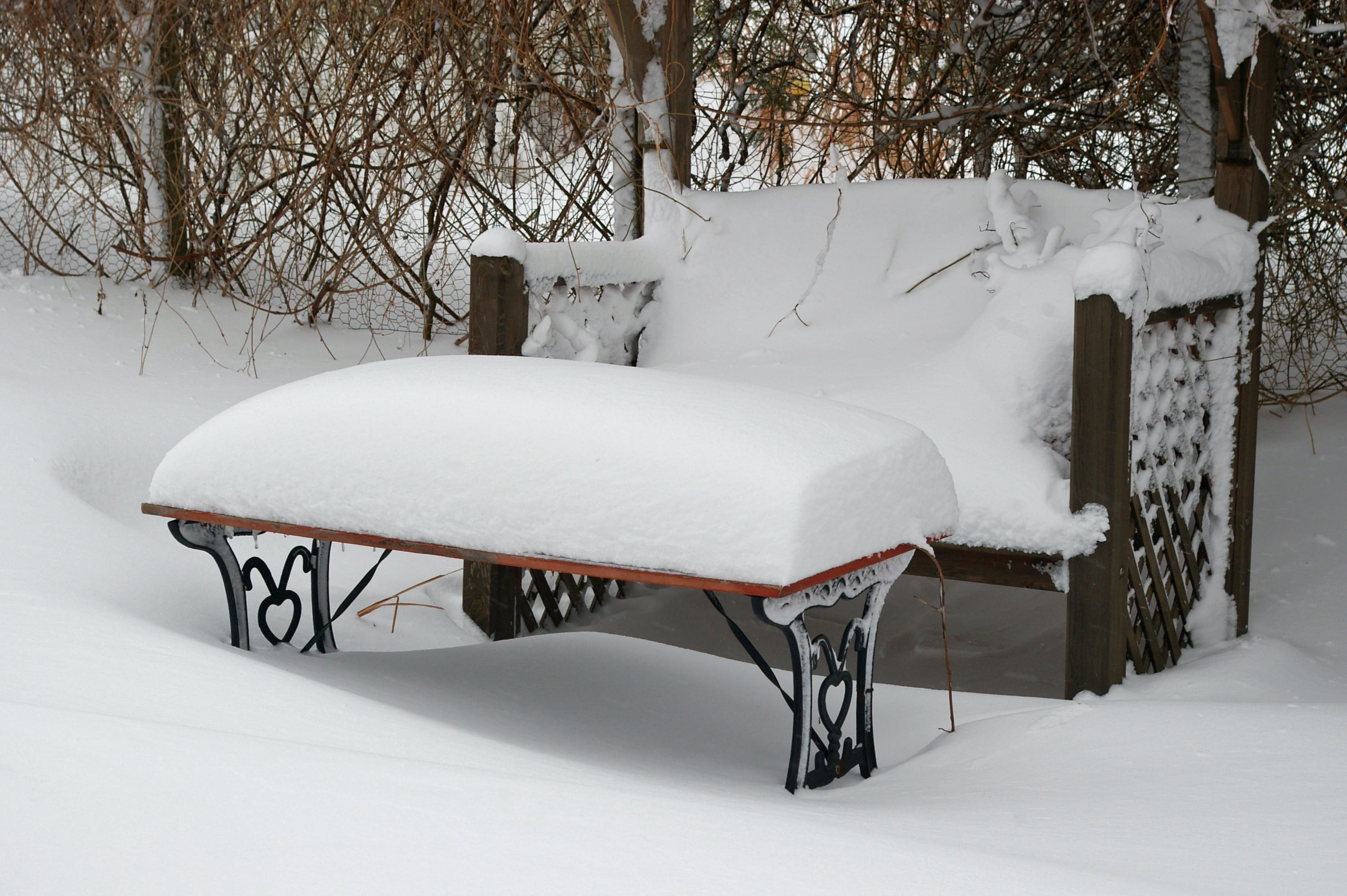 day, snow, relax, bench, covering, silent, no people, white, out, field, absence, leisurely, snowcapped mountain, plant, outdoors, garden, mood, idyll, HD Wallpaper