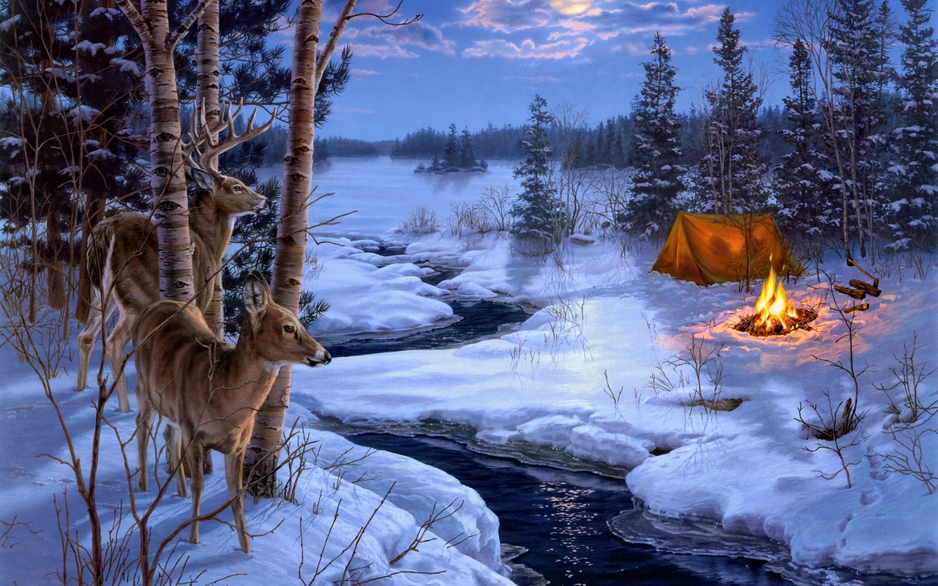 painting, darrell, shadows, bush, snow, animals, moon, 1080P, winter, deer, HD Wallpaper