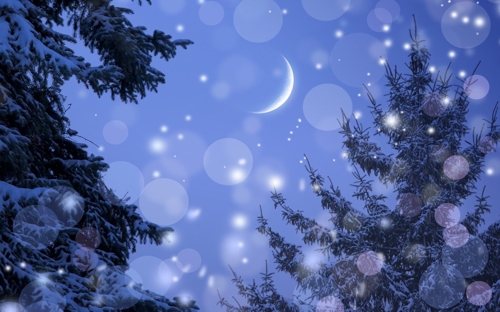 Winter, Trees, Moon, Snow, Glare, Night, 1080P, HD Wallpaper