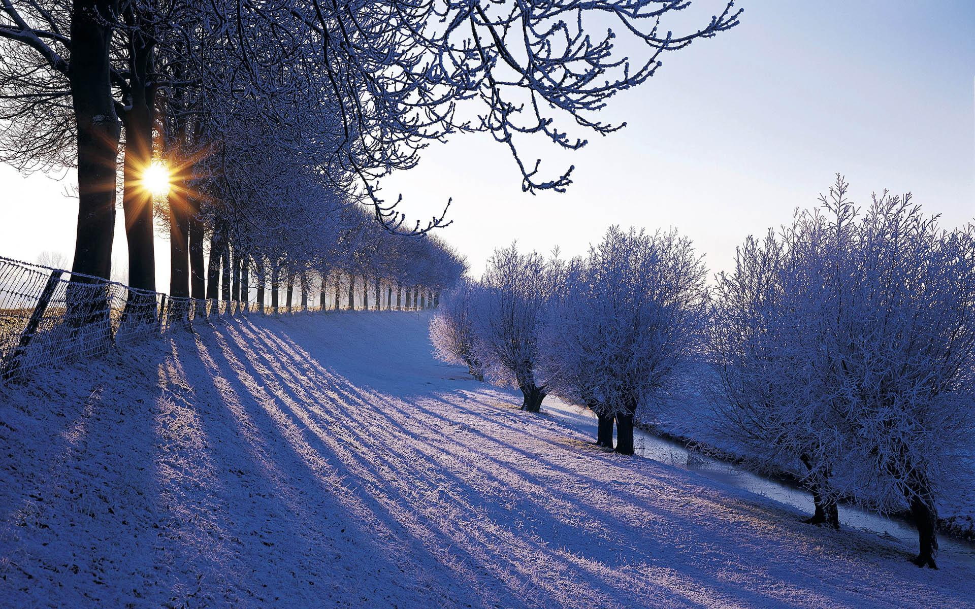 wonderl, shadows, winter, nature and landscapes, wonderland, wonderful, trees, 1080P, covered, snow, HD Wallpaper