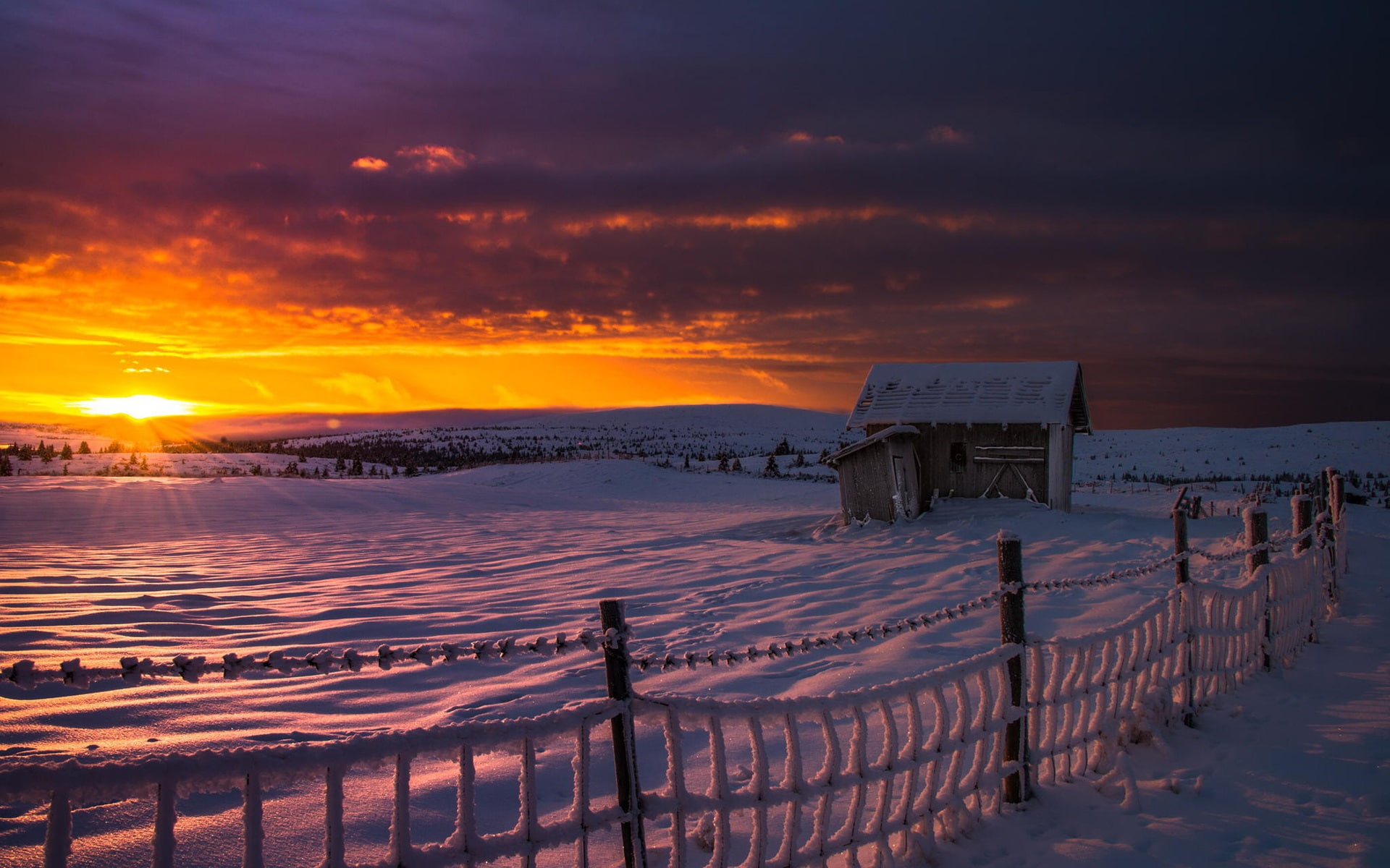 Winter, Frost, 1080P, Dawn, Hut, Snow, Thick, HD Wallpaper