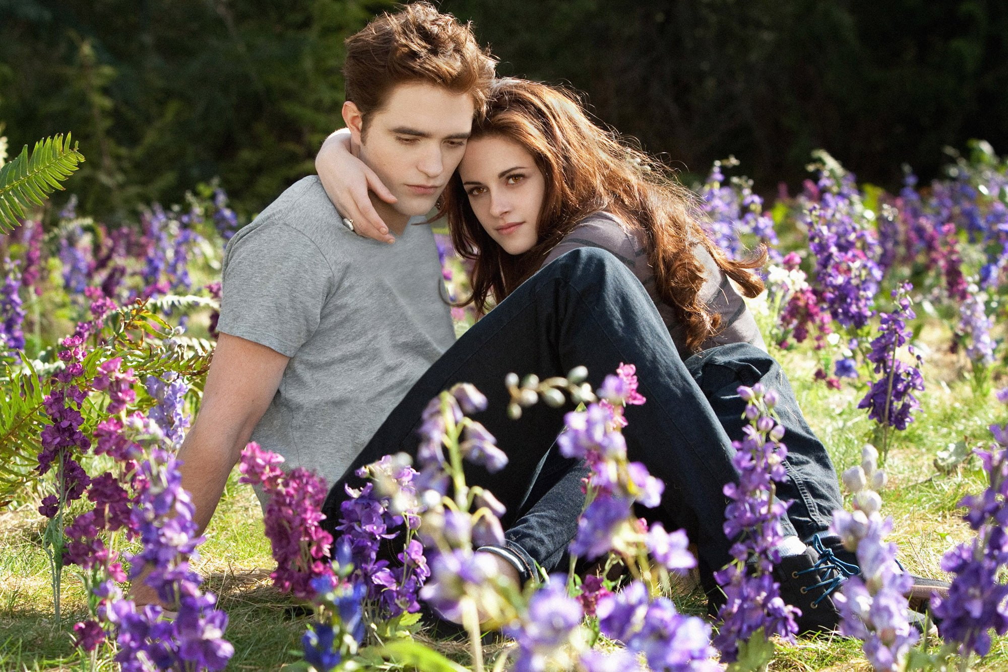 dawn, breaking, werewolf, vampire, twilight, drama, 1080P, adventure, romance, HD Wallpaper