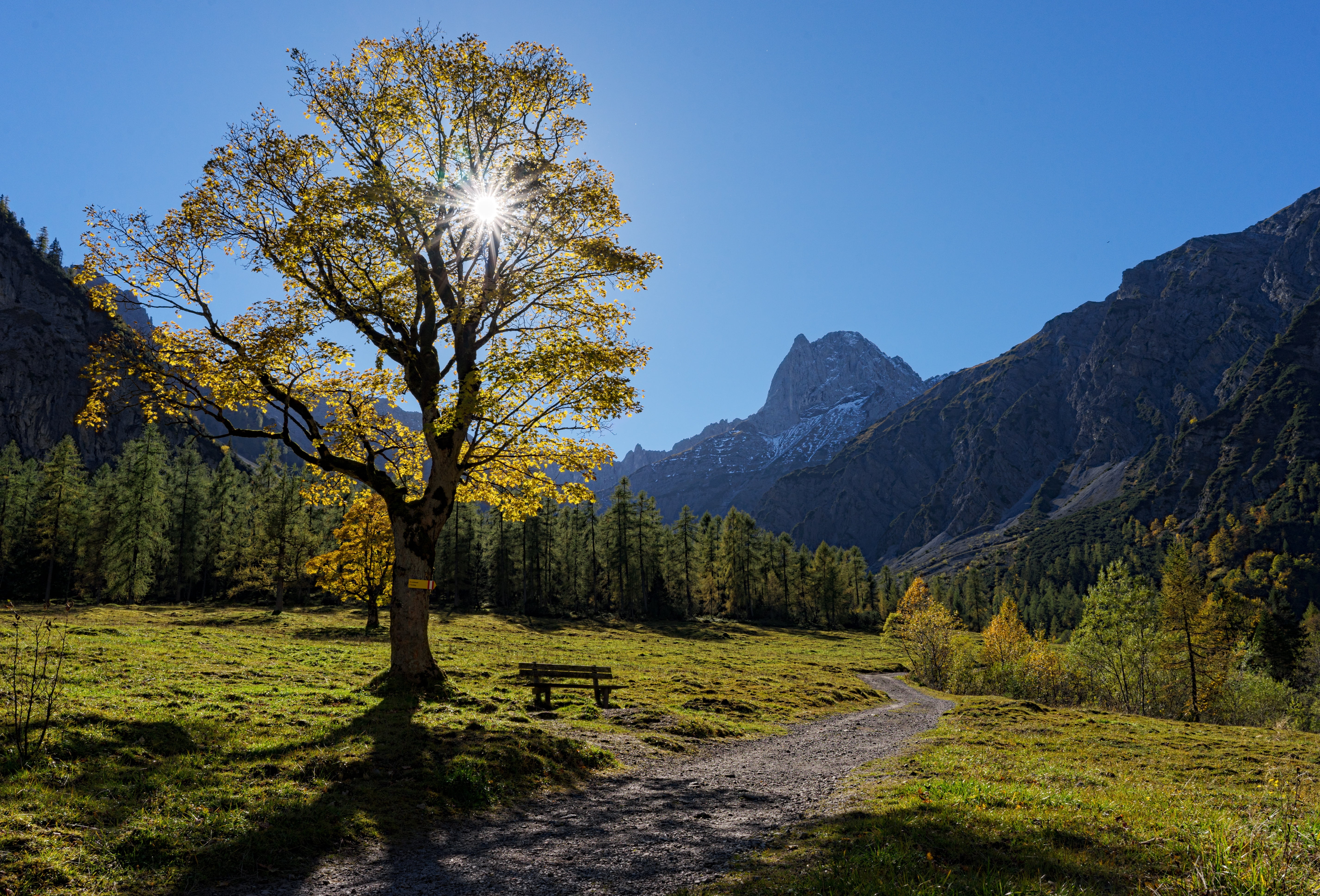coniferous tree, mountain, scenics - nature, autumn, yellow, sunlight, path, land, nature, sky, no people, mountains, Tyrol, plant, outdoors, Austria, landscape, HD Wallpaper