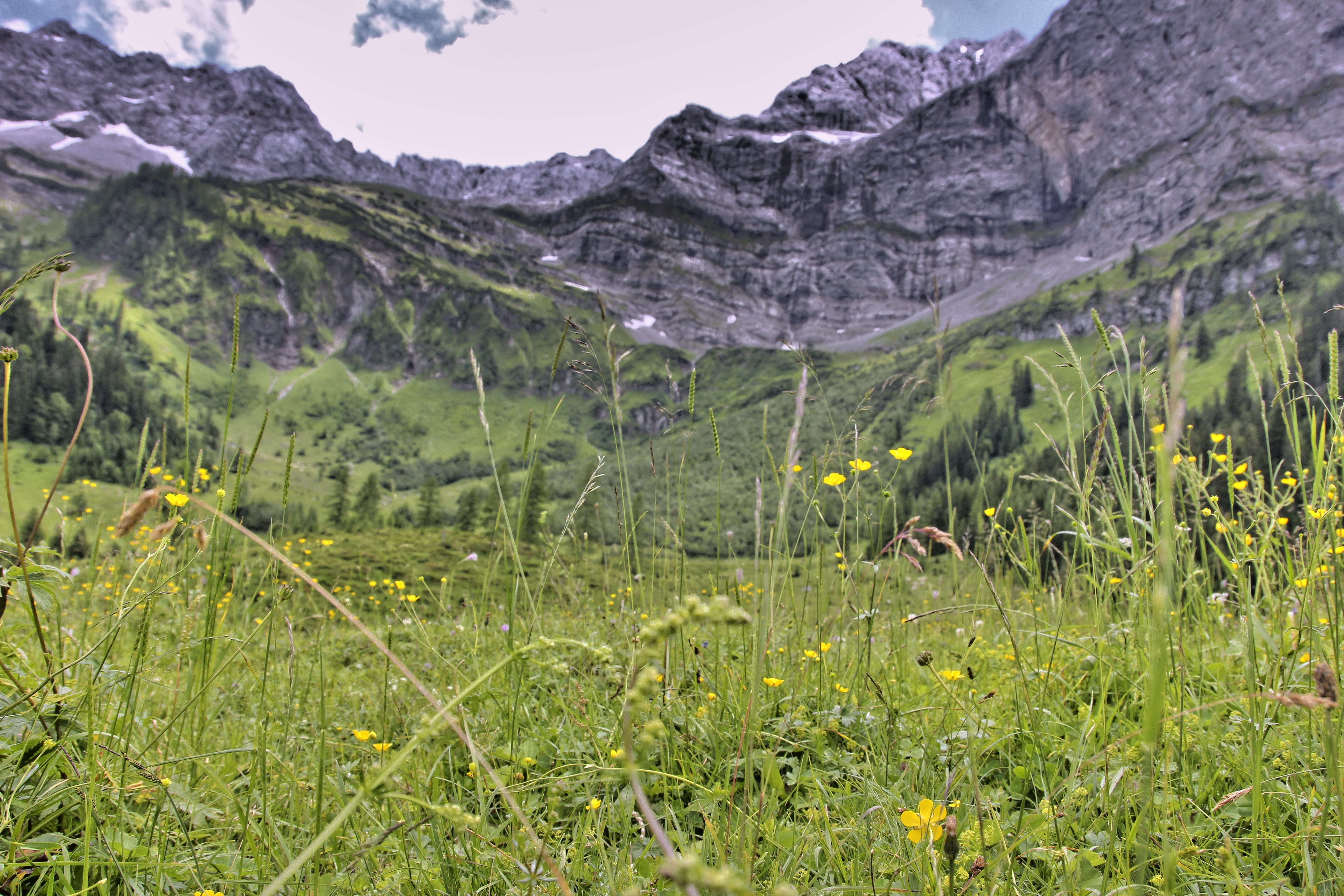 growth, mountain, engalm, environment, mountain range, field, plant, non-urban scene, grass meadow, formation, 5K, hiking, tranquil scene, game grass, HD Wallpaper