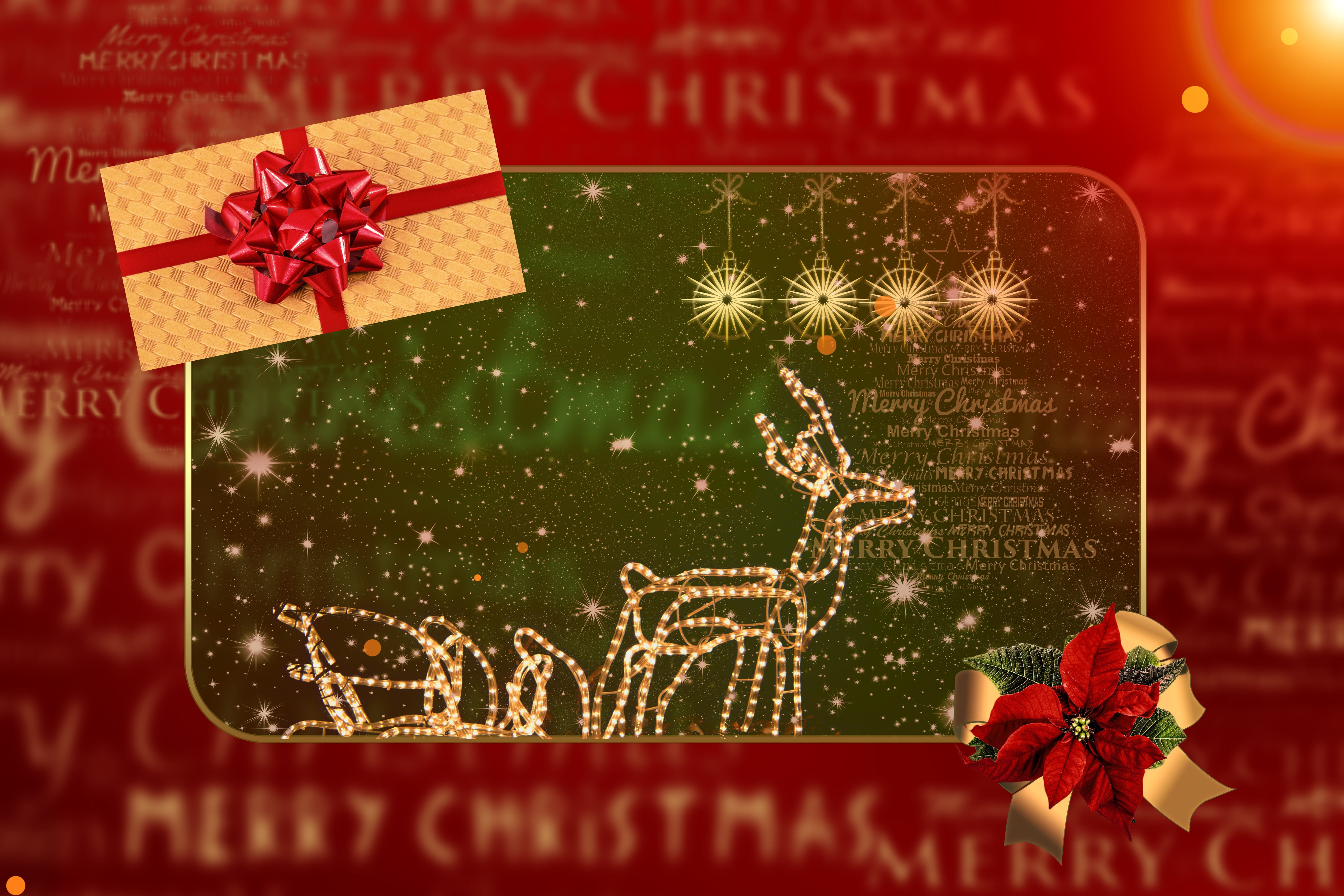 ribbon, nature, holiday - event, communication, evening, plant, text, christmas, lichterkette, box - container, holidays, holiday, atmosphere, celebration, HD Wallpaper