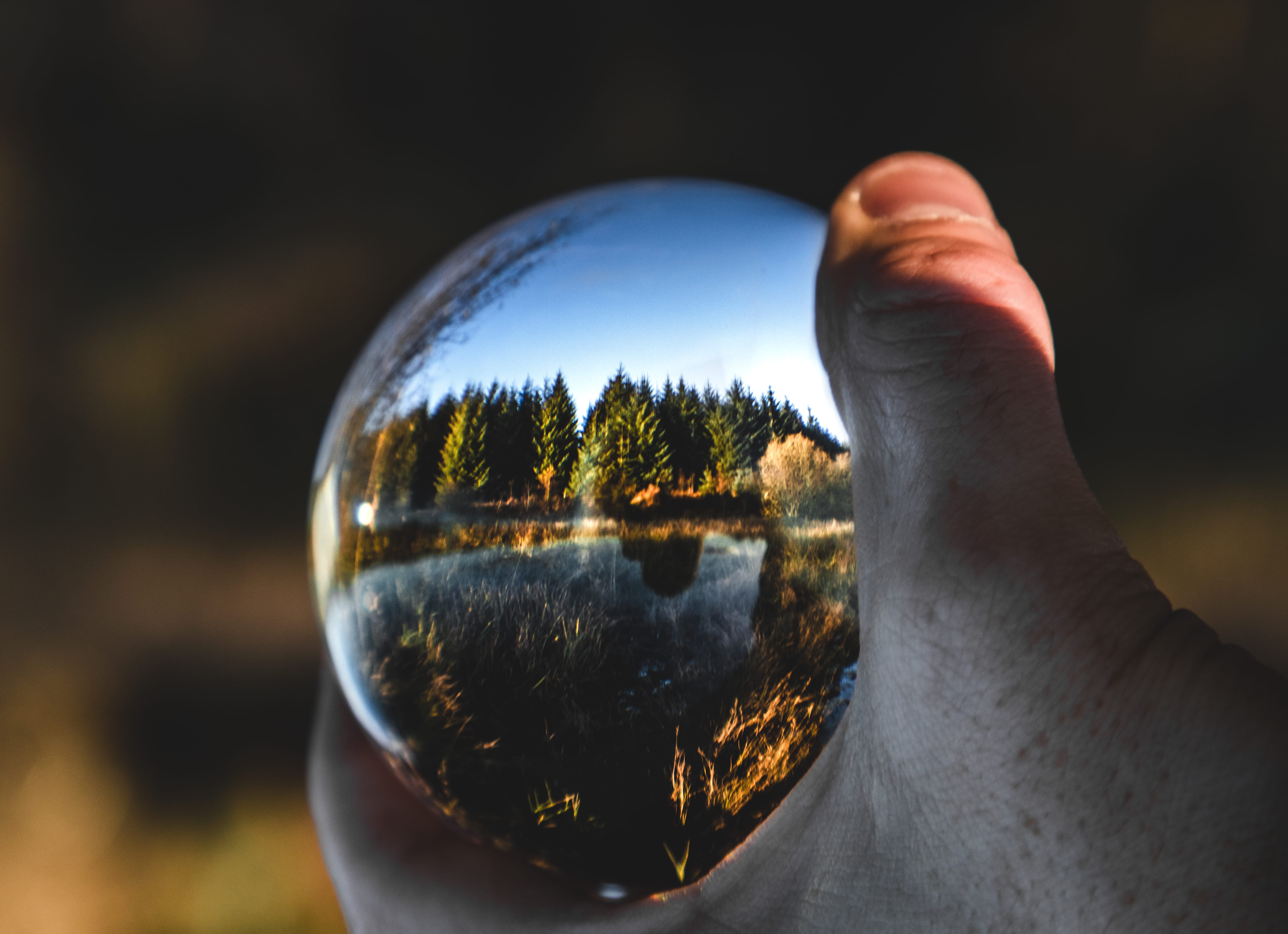 lens, glass - material, sphere, loch rusky, scottish, personal perspective, trees, body part, outdoors, cold, crystal ball, winter, close-up, scotland, HD Wallpaper