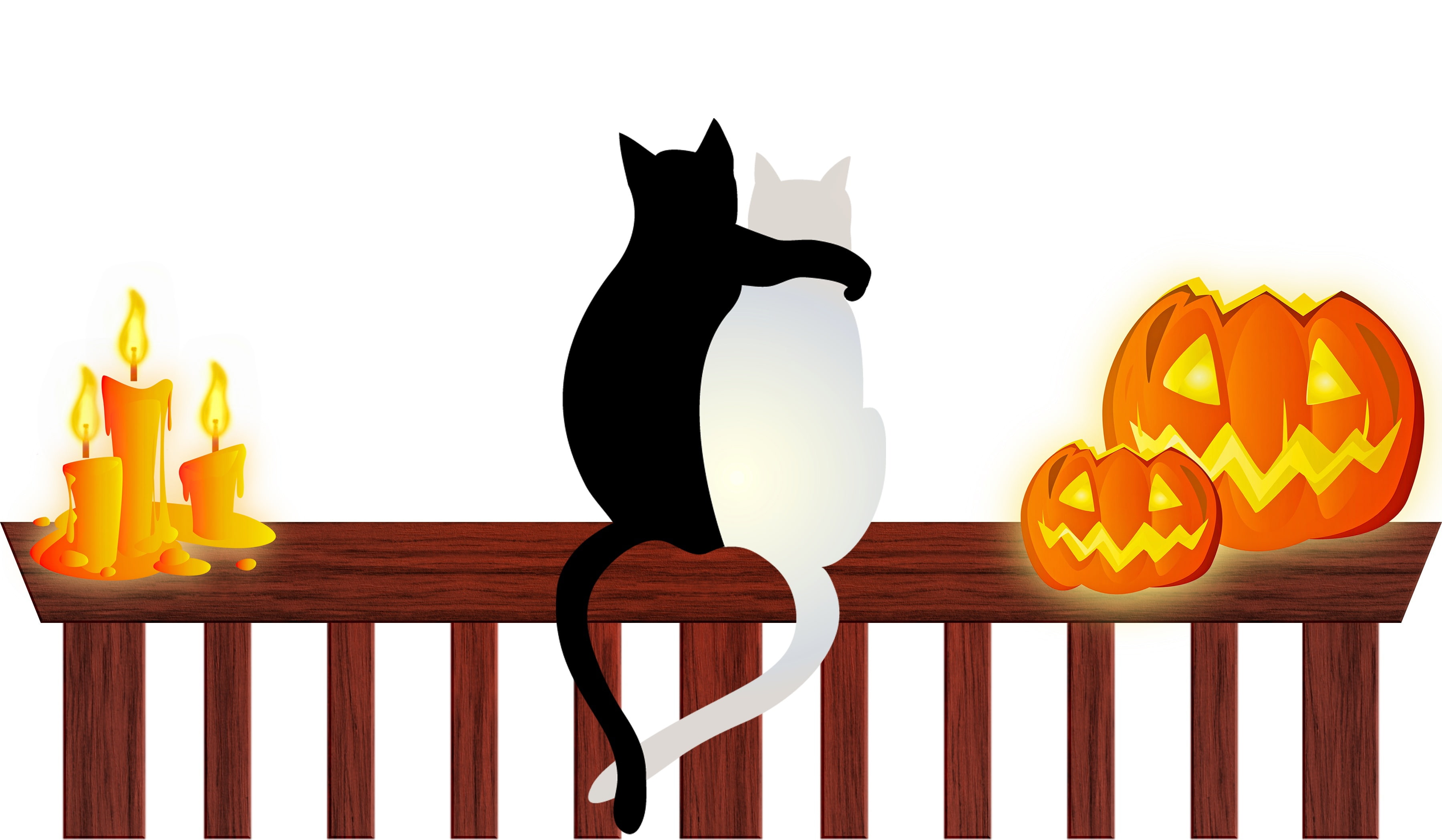 2K, Halloween, 31 Oct, candles, pumpkin, cats, HD Wallpaper