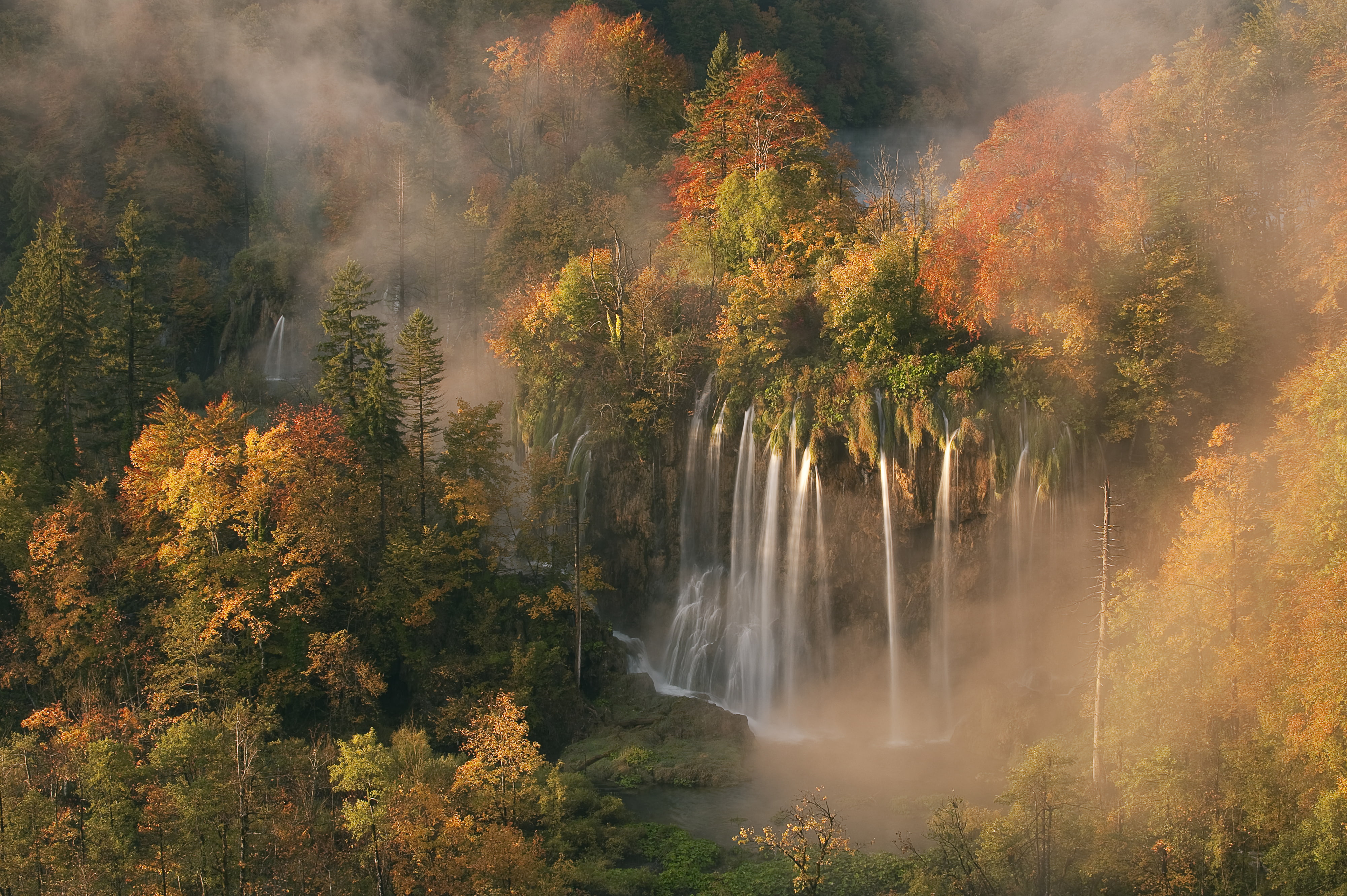 color Image, autumn collection, beauty In Nature, change, woodland, falling, green Color, orange Color, no People, rainforest, long exposure, land, park - Man Made Space, HD Wallpaper
