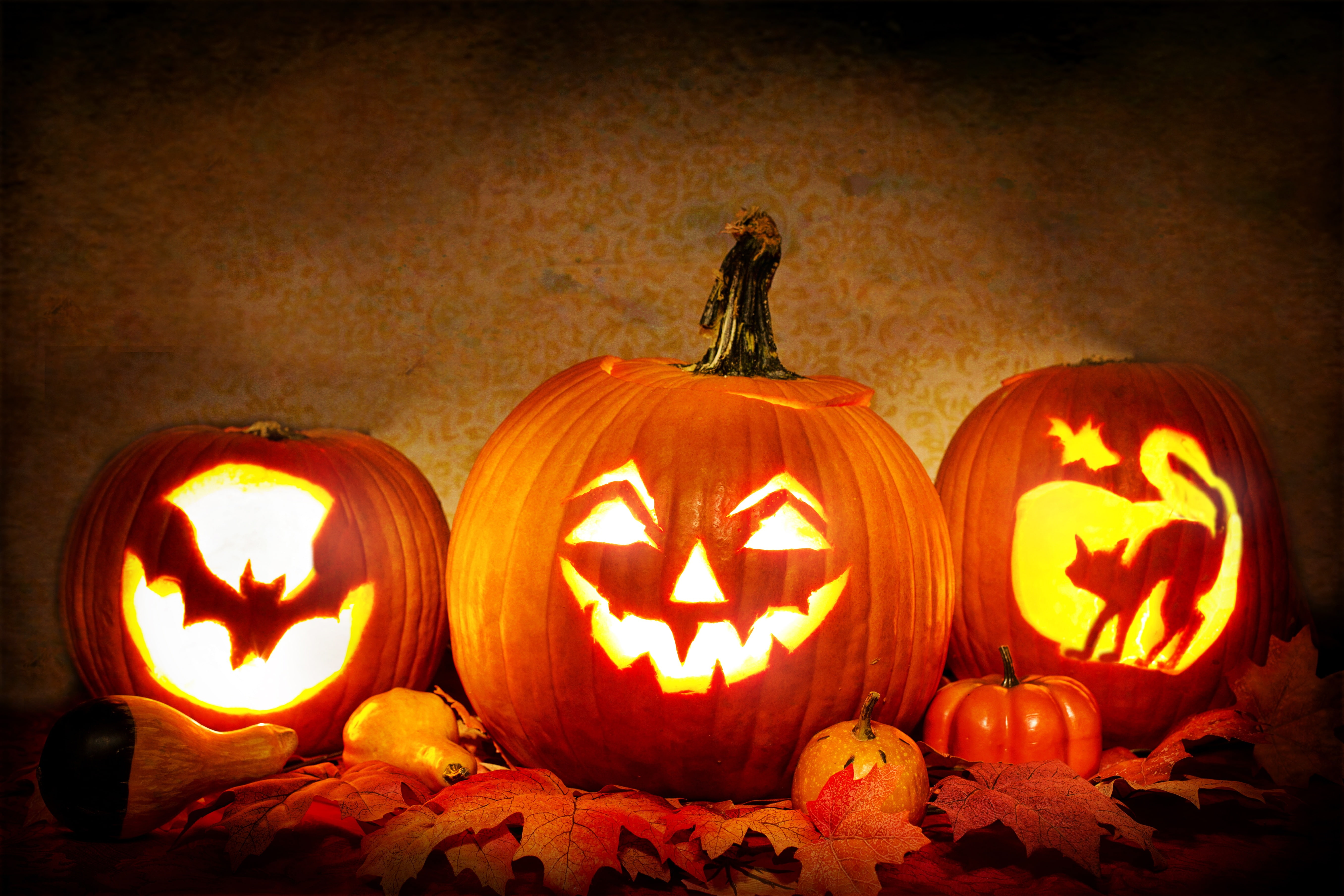 candles, leaves, light, Halloween, 5K, pumpkin, 31 Oct, HD Wallpaper