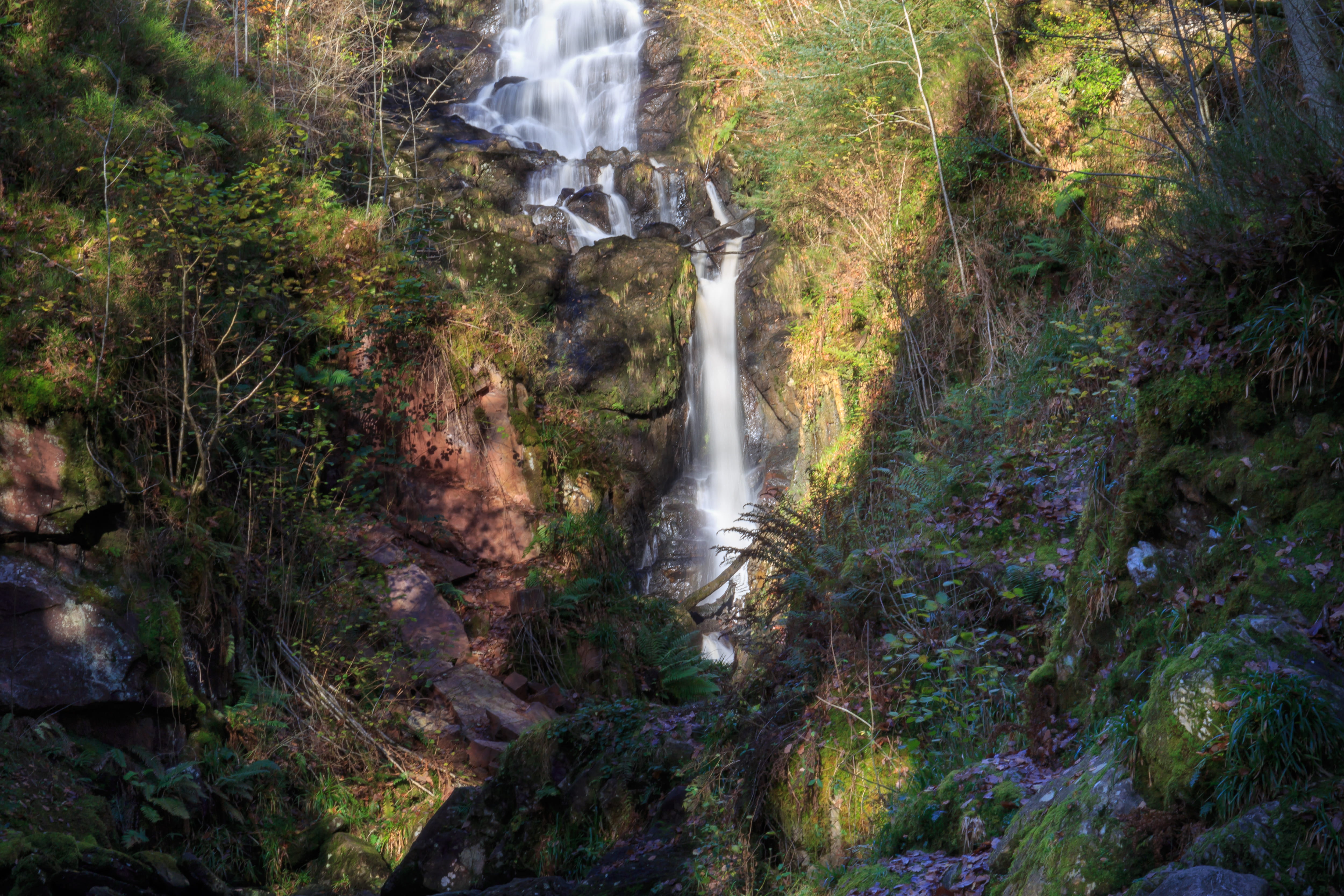 vegetation, bush, tree, rock, 4K, the lodge - forest visitor centre queen elizabeth forest park, shoreline, long exposure, flowing water, creek, scenery, HD Wallpaper