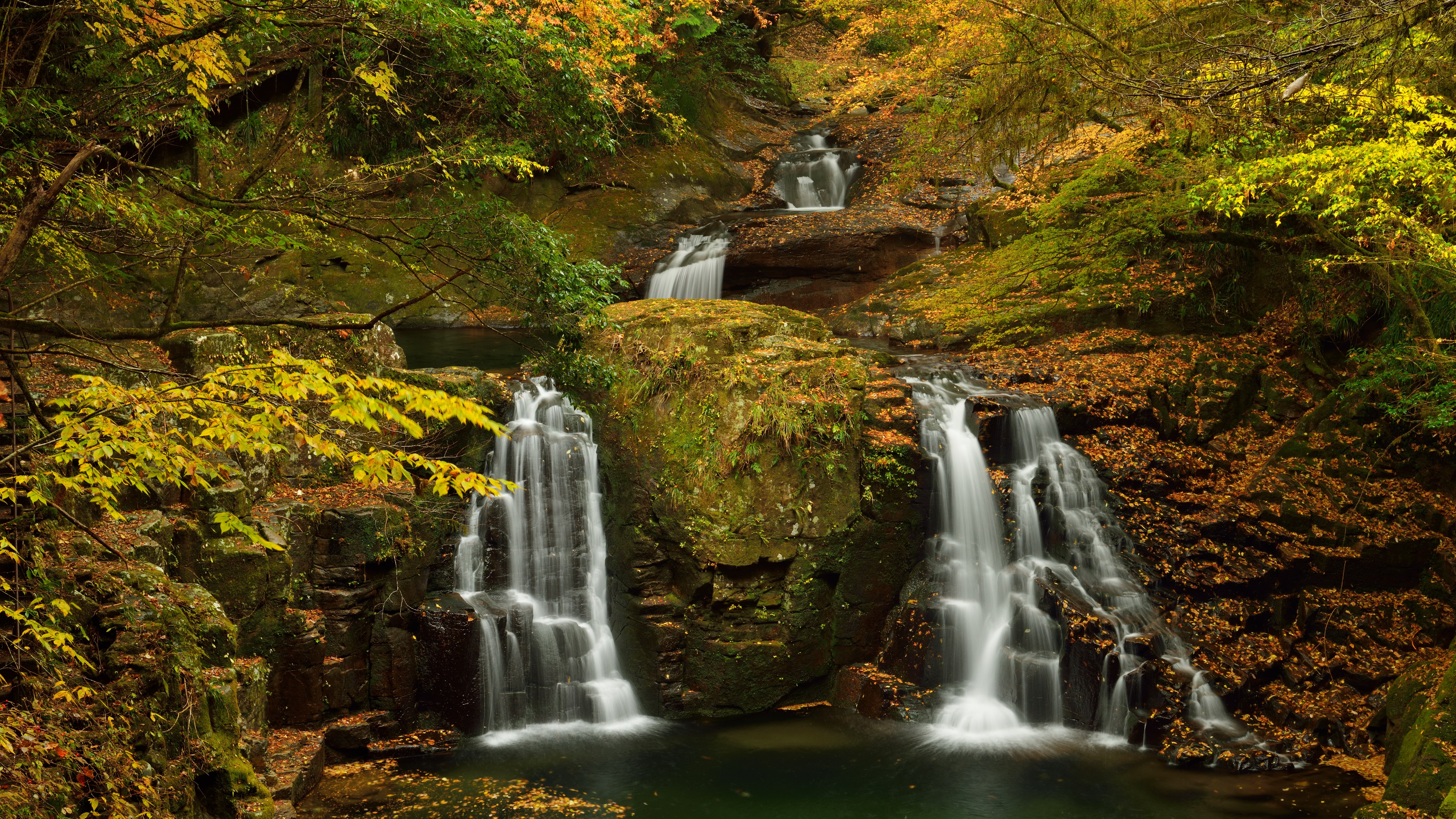 8K, nature backgrounds images 7680x4320, HD Wallpaper