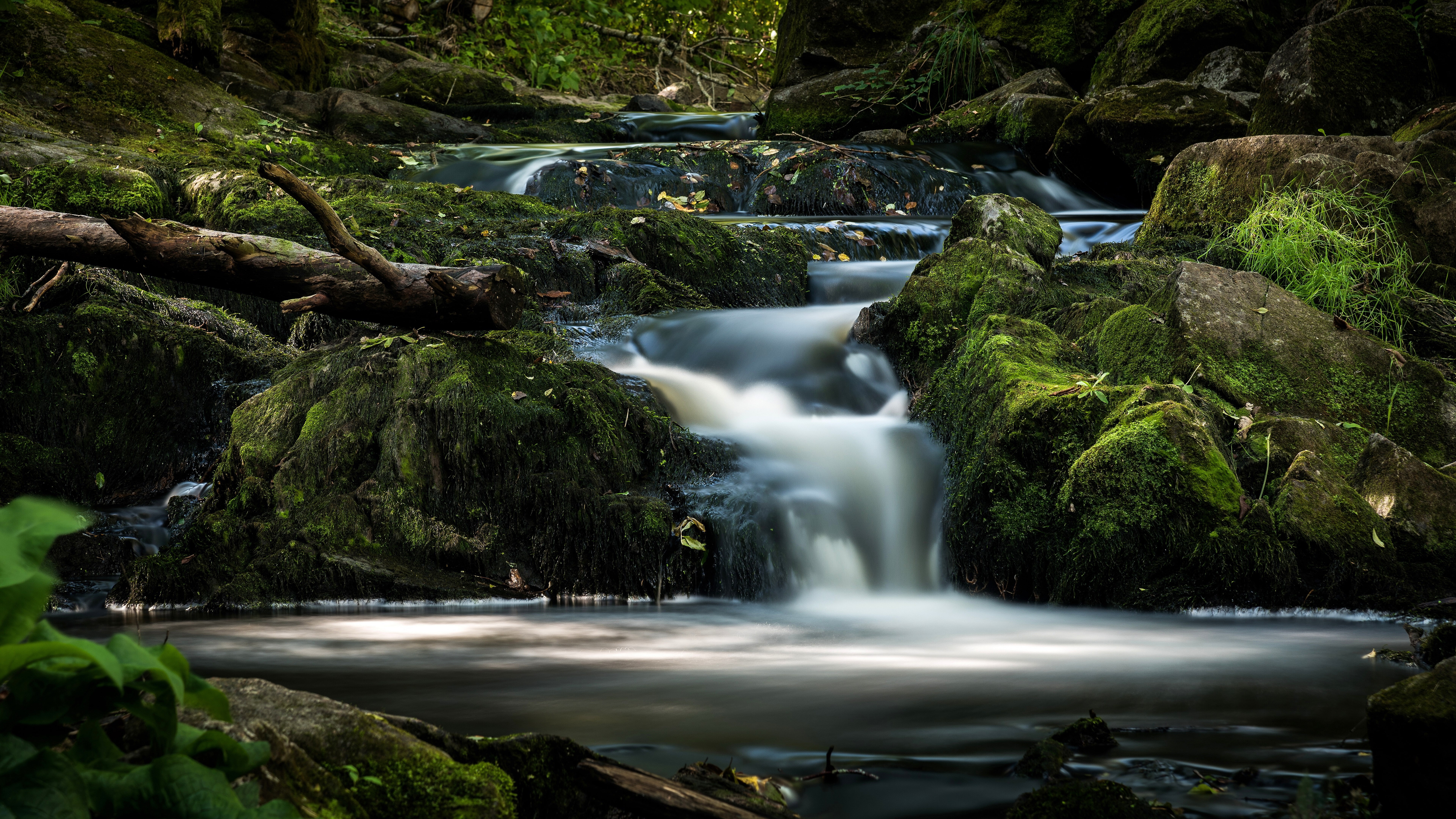 8K, nature backgrounds images 7680x4320, HD Wallpaper