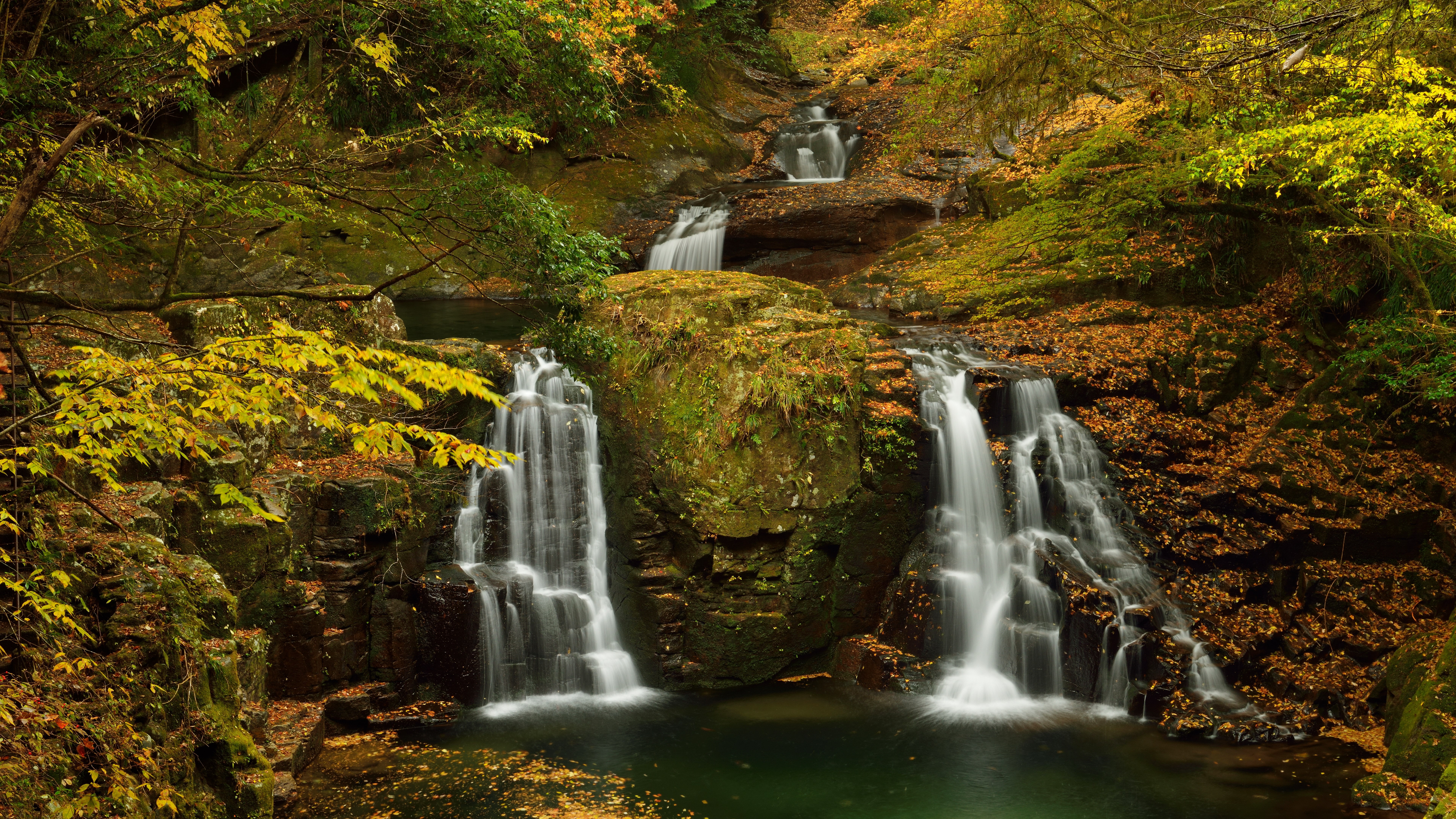 8K, nature backgrounds images 7680x4320, HD Wallpaper