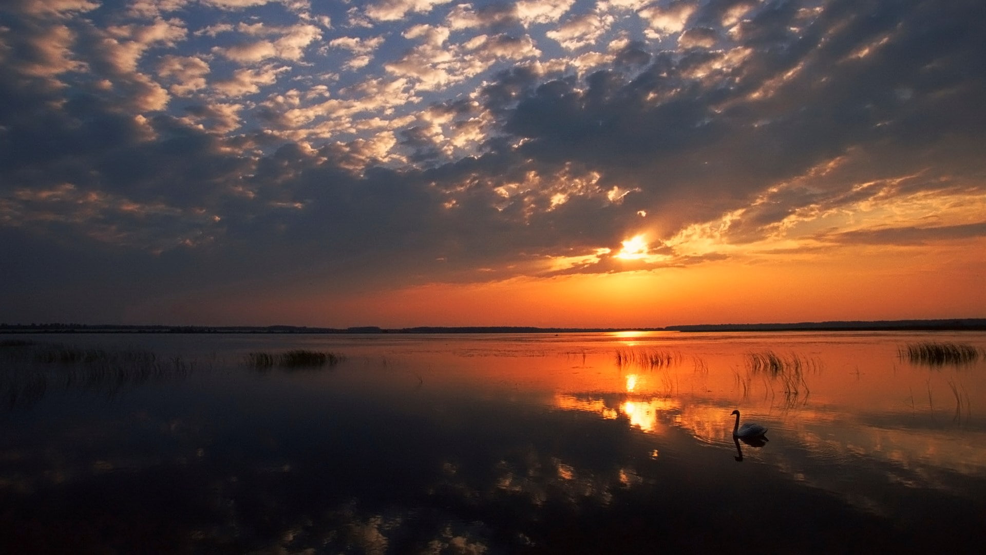 1080P, widescreen high resolution nature hd 1920x1080, HD Wallpaper