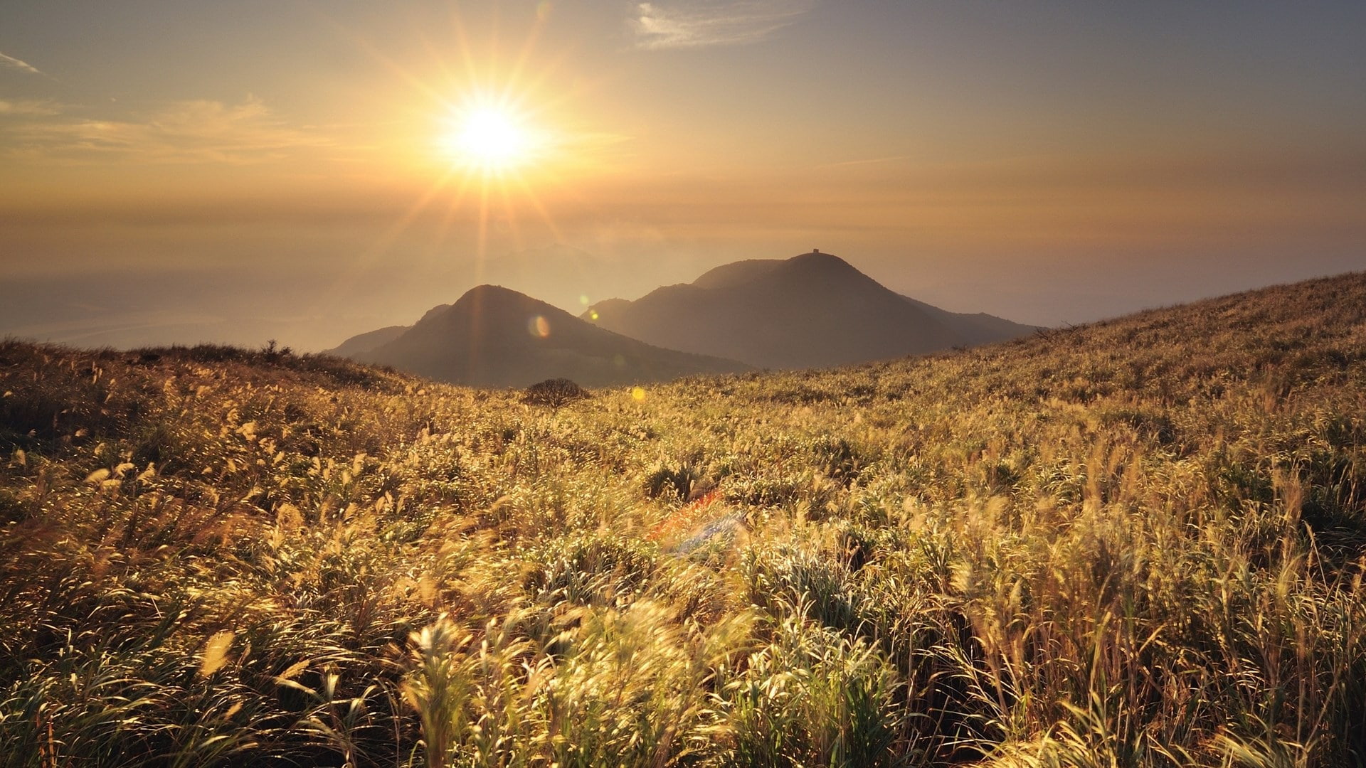 widescreen high resolution nature hd 1920x1080, 1080P, HD Wallpaper