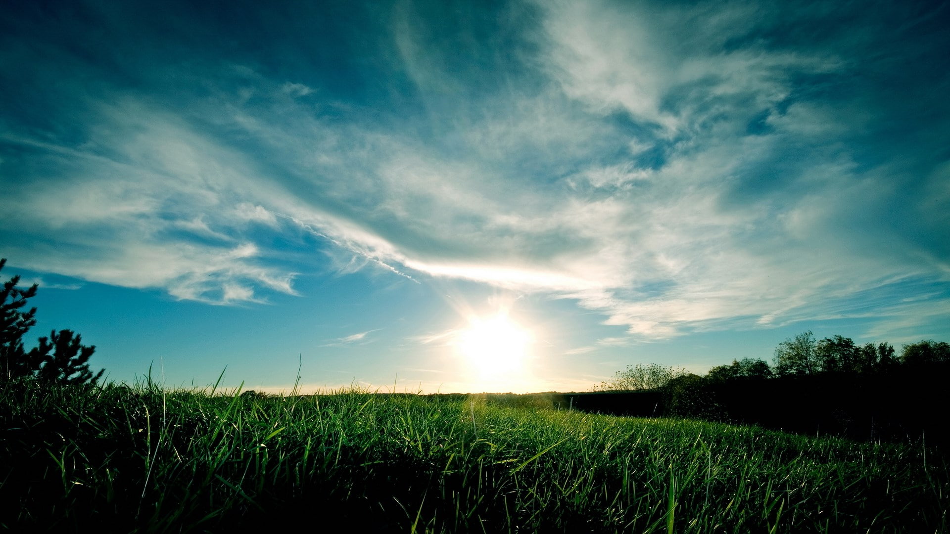 1080P, widescreen high resolution nature hd 1920x1080, HD Wallpaper