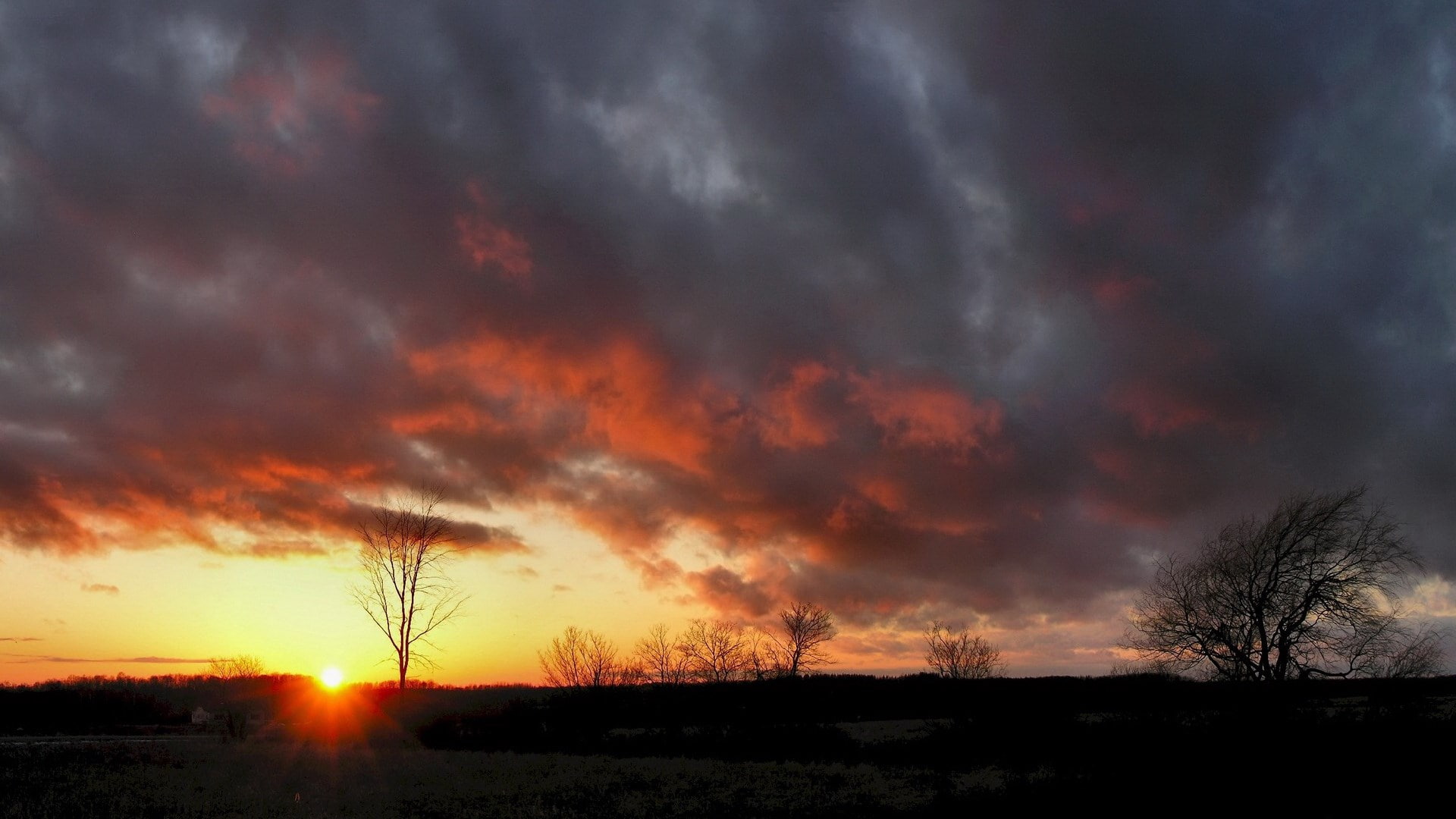 1080P, no people, power in nature, sunset, awe, beauty in nature, cloud - sky, outdoors, tranquil scene, plant, sky, widescreen high resolution nature hd 1920x1080, HD Wallpaper