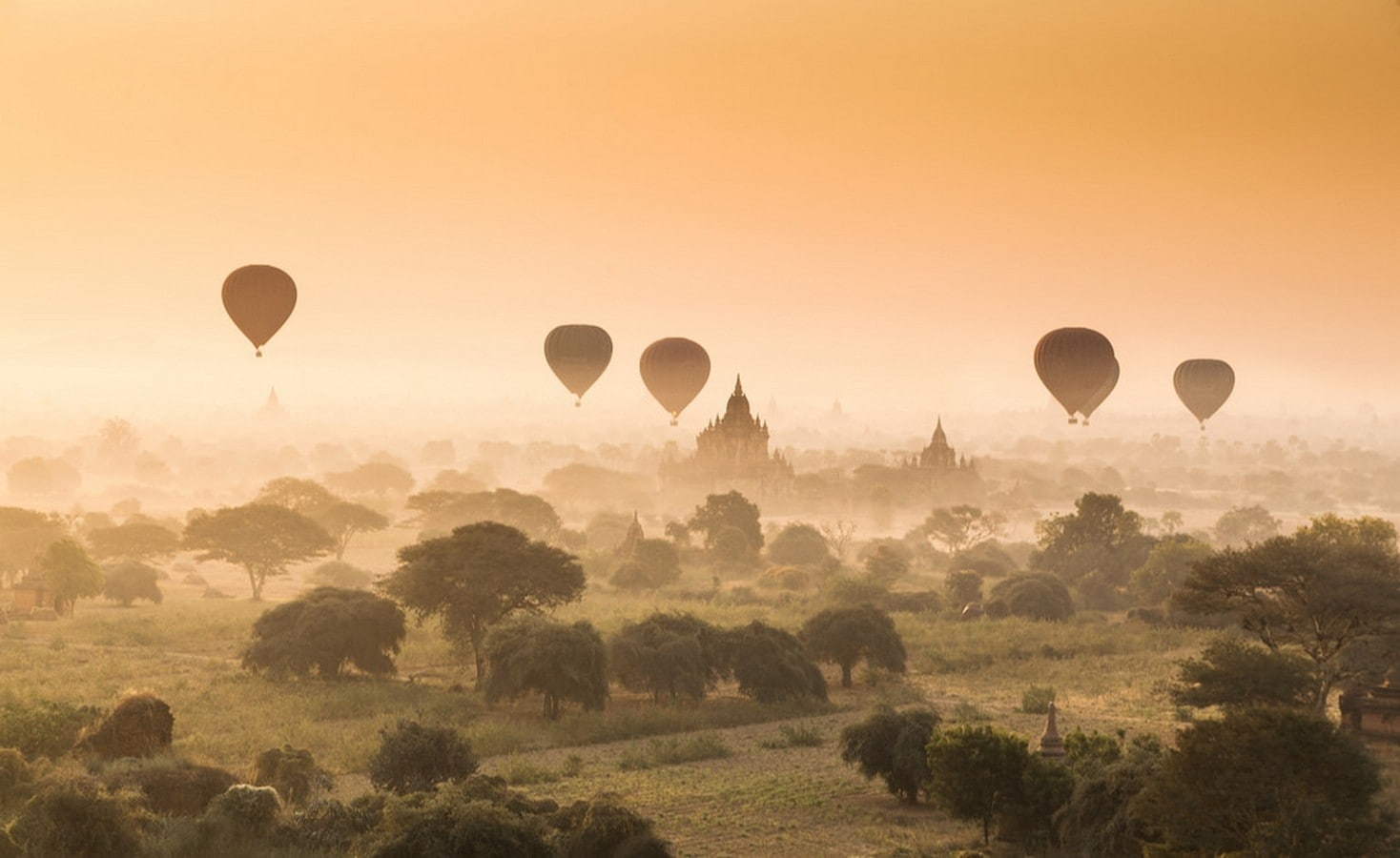 environment, transportation, 720P, sun, no people, sunset, nature, landscape, hot air balloons, travel destinations, plant, hot air balloon, air vehicle, HD Wallpaper