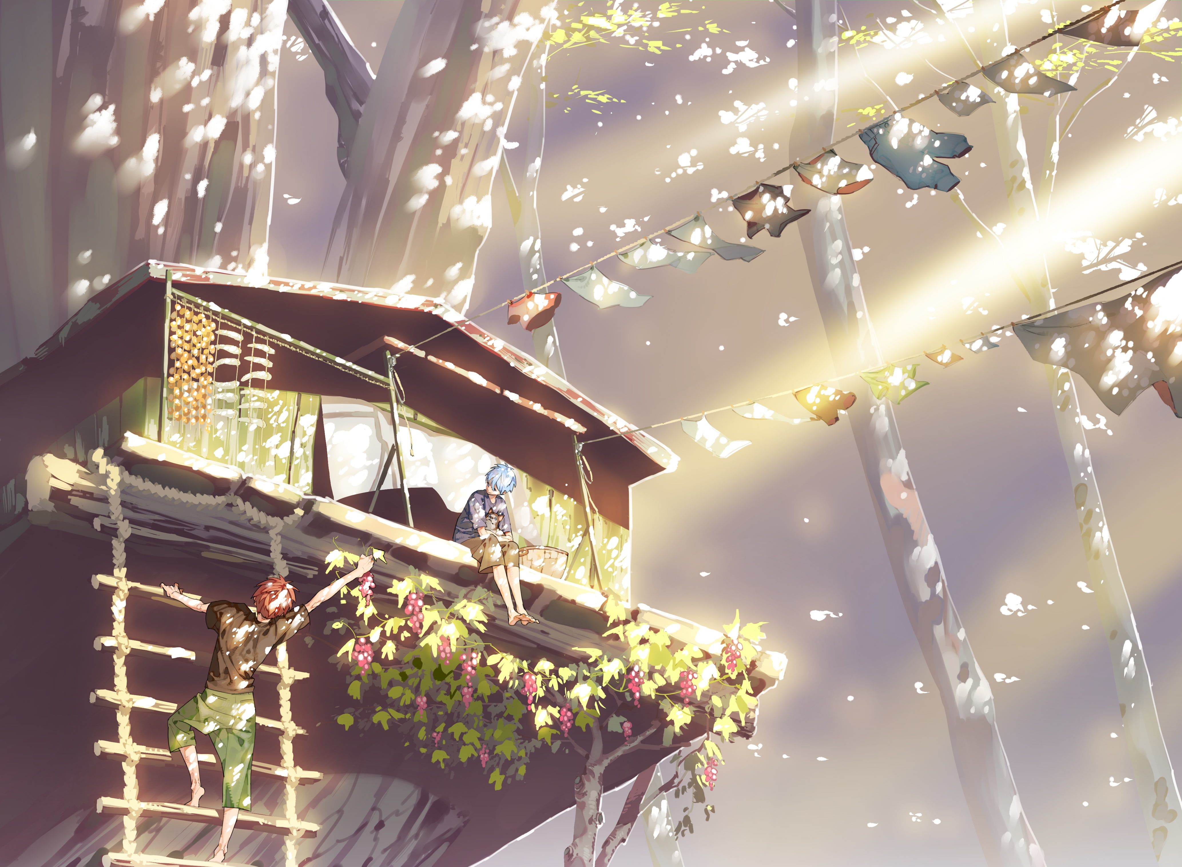 ceiling, hanging, kuroko no basket, sunlight, trees, illuminated, Anime, low angle view, tree, beauty in nature, day, no people, flowering plant, outdoors, HD Wallpaper