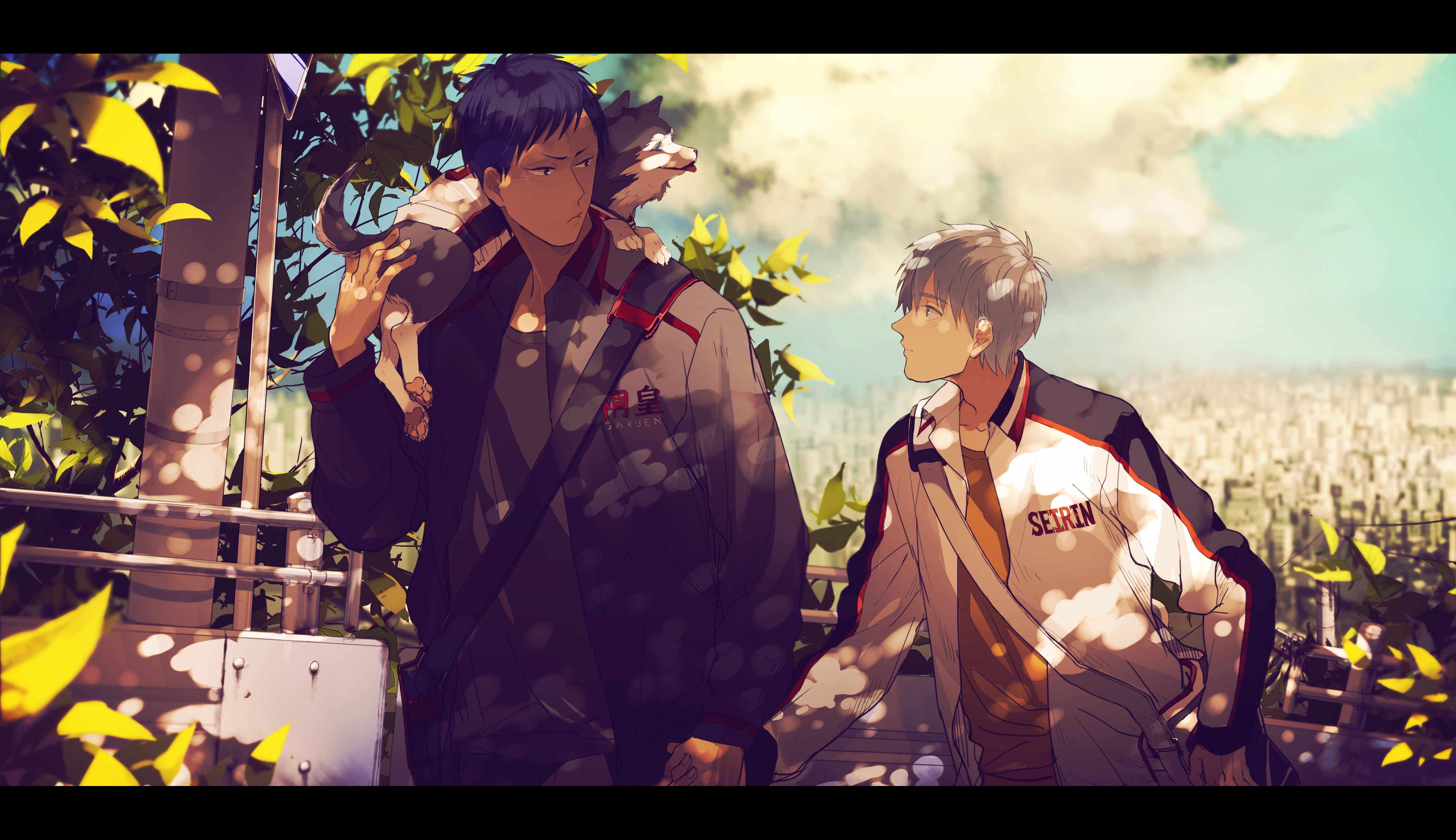 basket, 4K, kuroko, HD Wallpaper