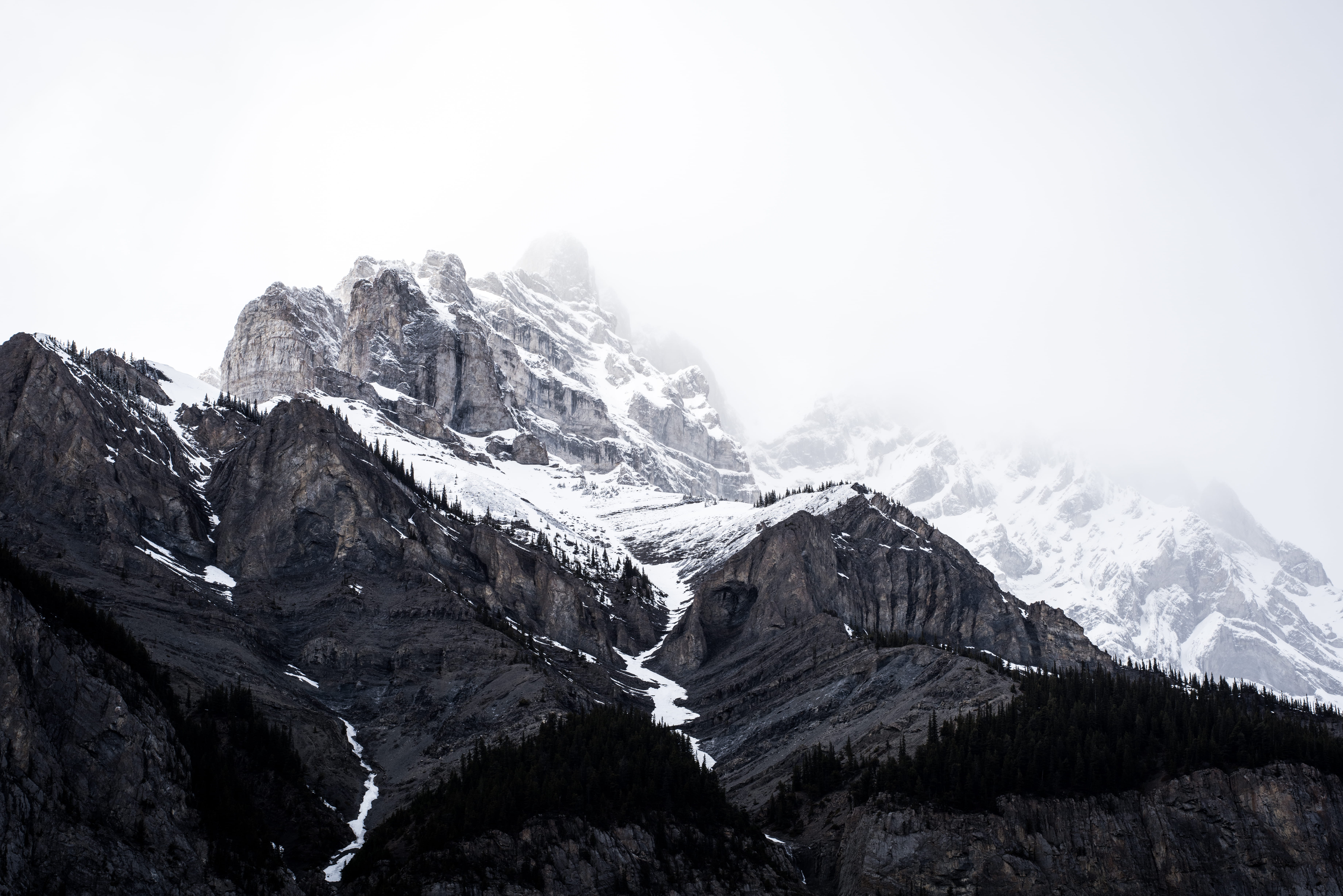 trees, peak, winter, angle, landscape, snow capped peak, 5K, photography, beauty in nature, contrast, rocky mountain, snow, tranquil scene, travel destinations, HD Wallpaper