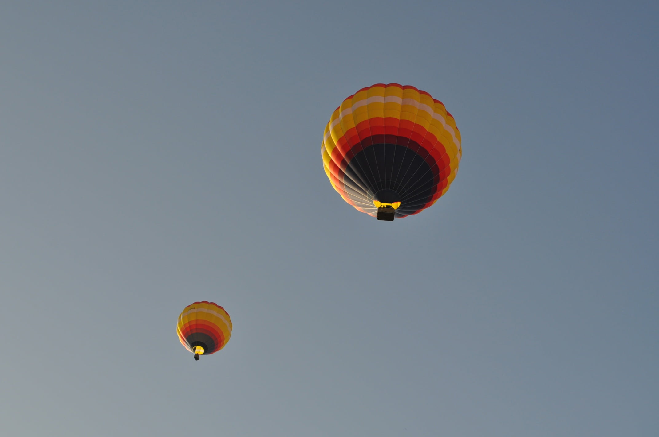 cappadocia, low angle view, ballooning festival, no people, 1080P, air, anatolia, air Vehicle, motion, hot-air ballooning, travel, hot Air Balloon, clear sky, HD Wallpaper