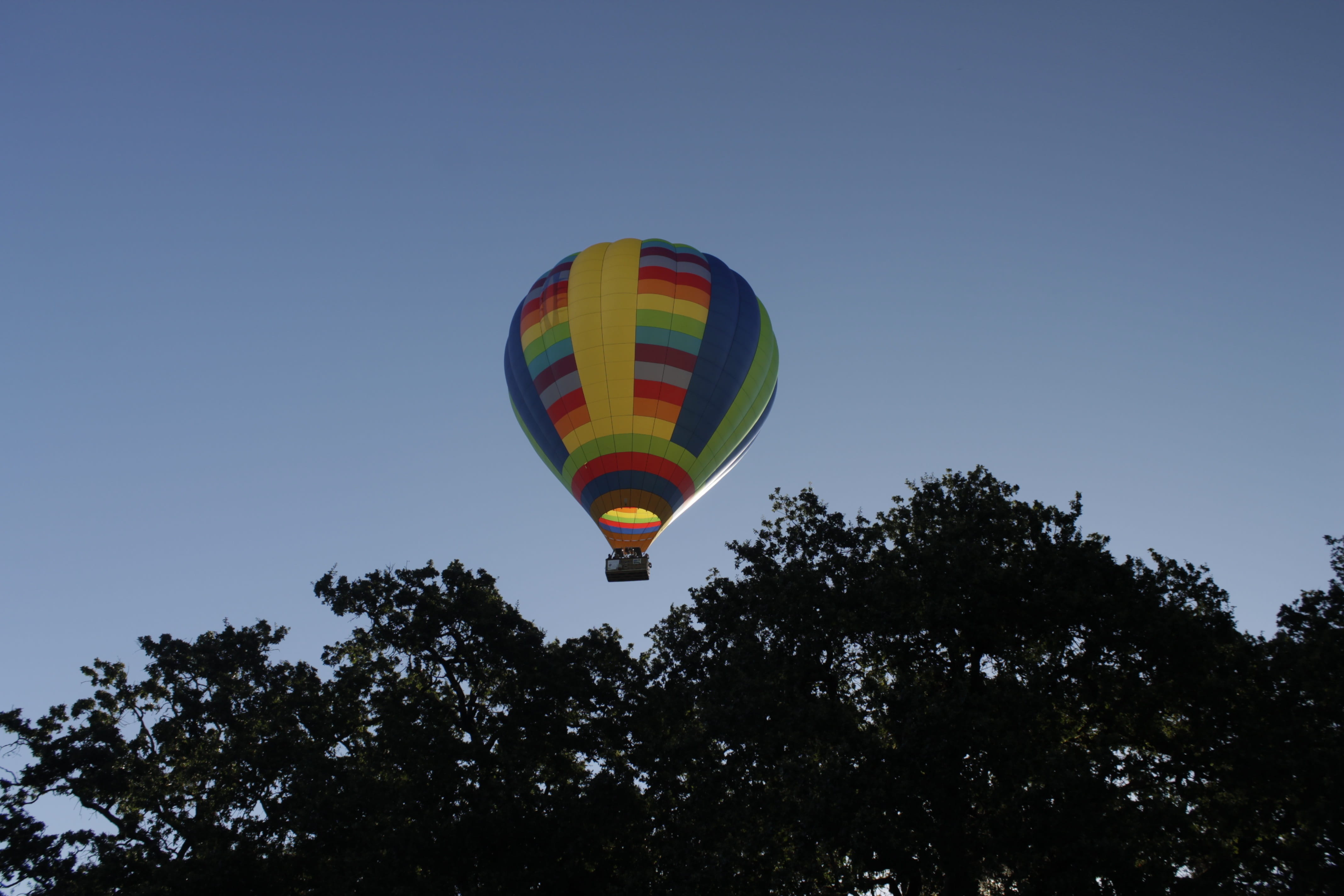 bright, outdoors, outdoor, goreme, air Vehicle, Balloons, recreational Pursuit, fly, transportation, mid-air, basket, plant, balloon, hot, 4K, summer, HD Wallpaper